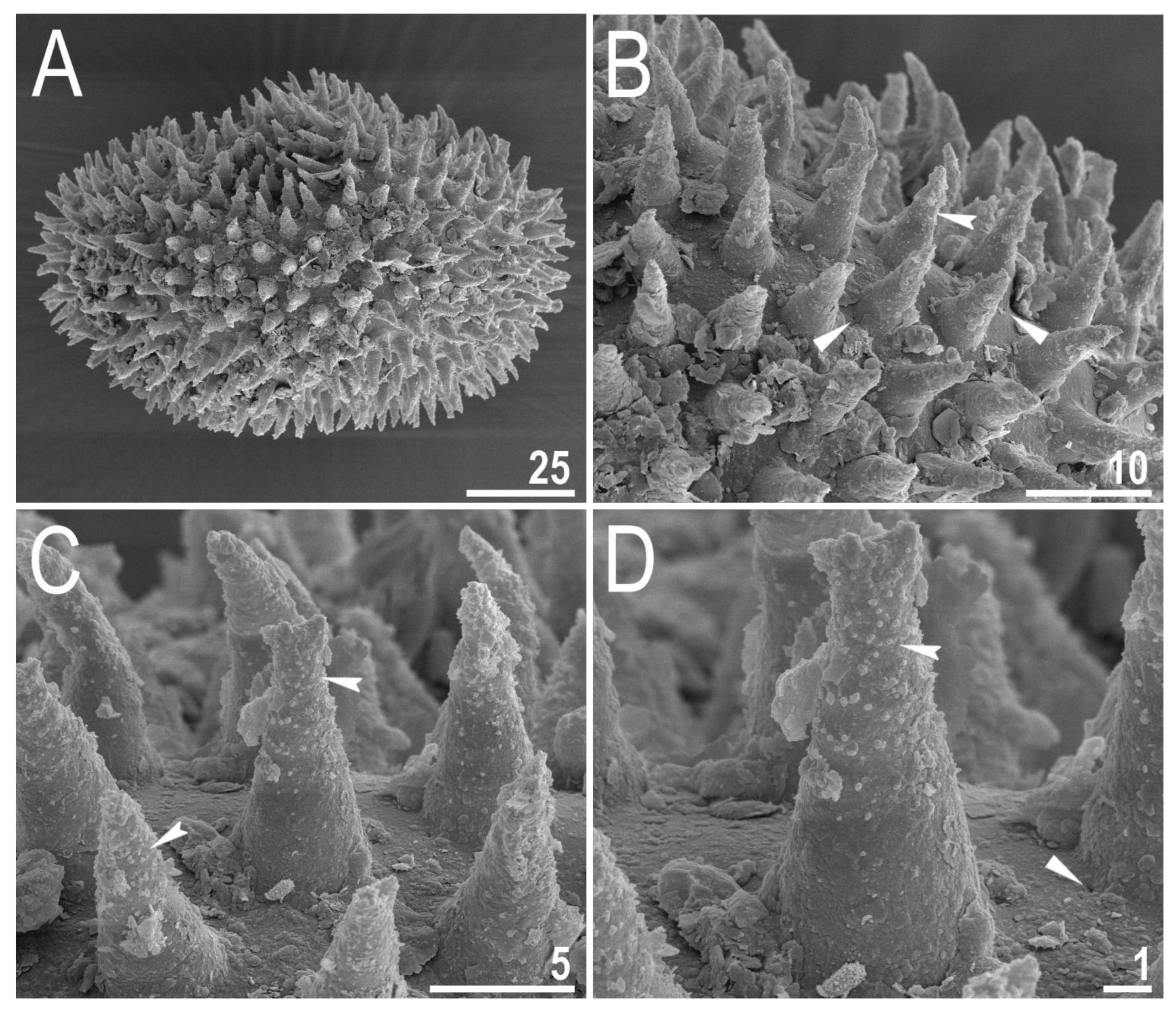 Animals 12 00404 g012 550