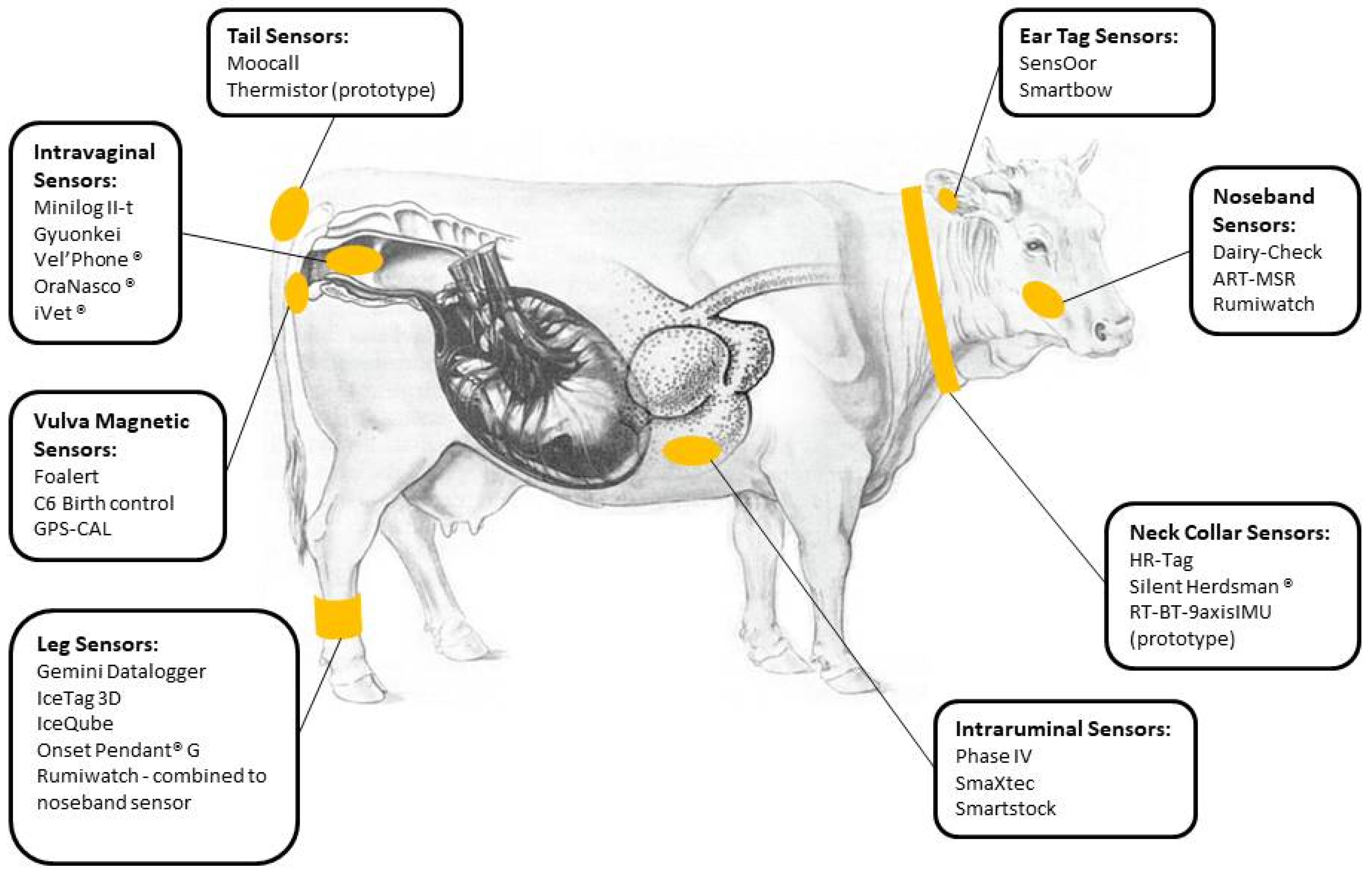 Animals | Free Full-Text | How to Predict Parturition in Cattle? A Literature Review of Automatic Devices and Technologies for Remote Monitoring and Calving Prediction Animals | Free Full-Text | How to Predict Parturition in Cattle? A Literature Review of Automatic Devices and Technologies for Remote Monitoring and Calving Prediction
