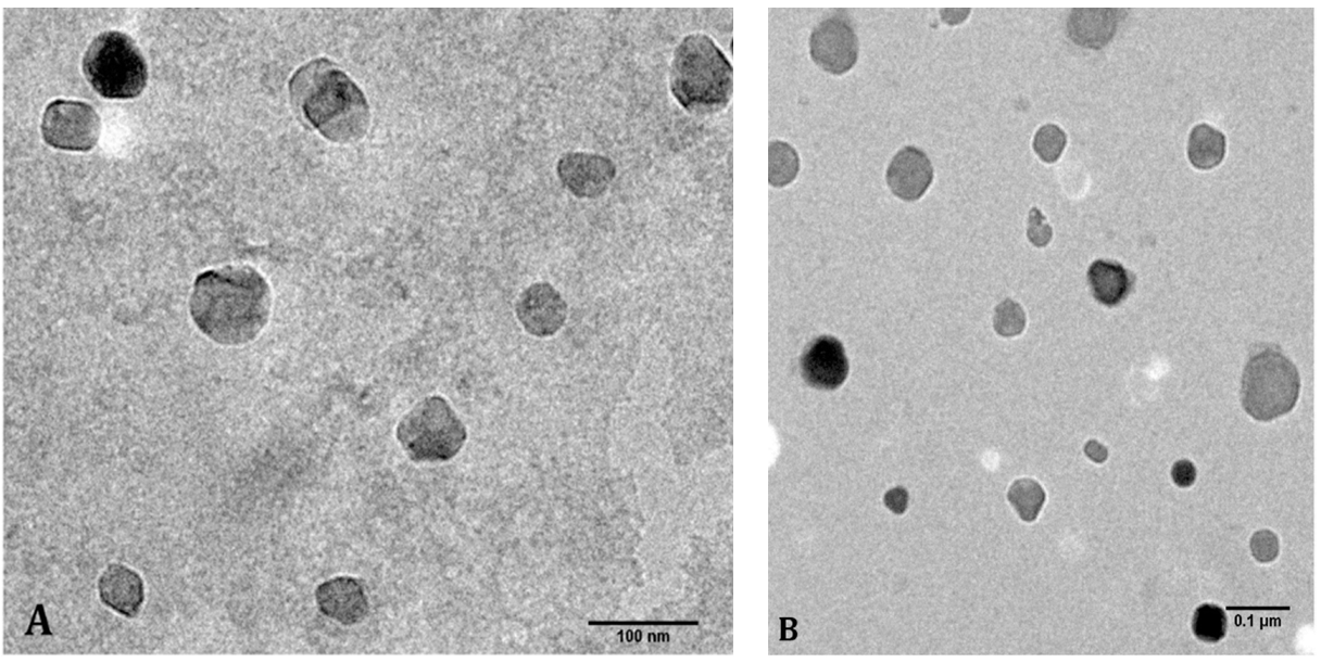 Animals 12 00417 g001