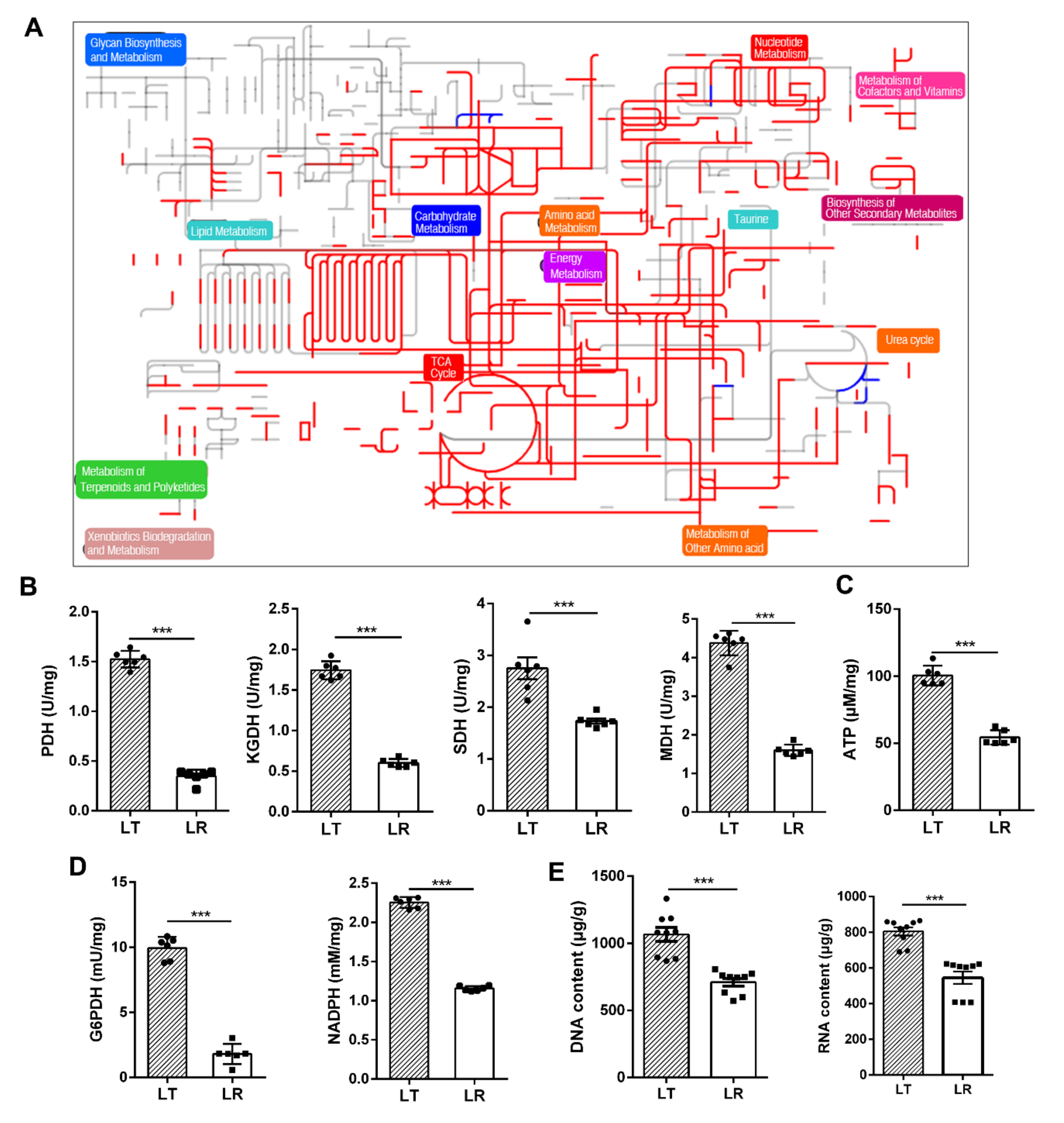 Animals 12 00420 g005 Animals 12 00420 g005