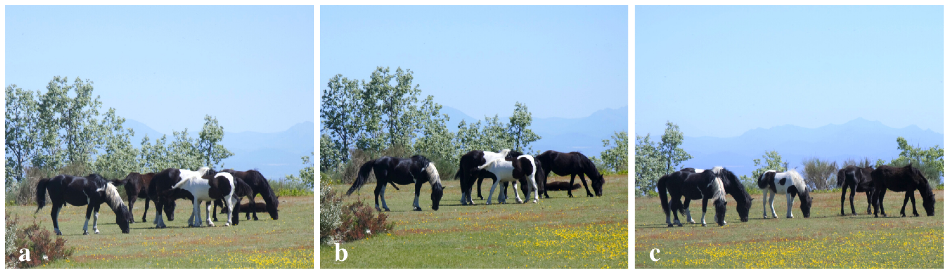 Animals 12 00421 g003