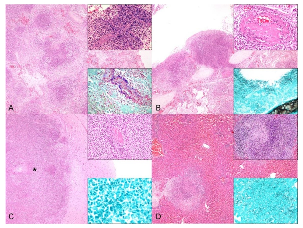 Animals 12 00434 g002