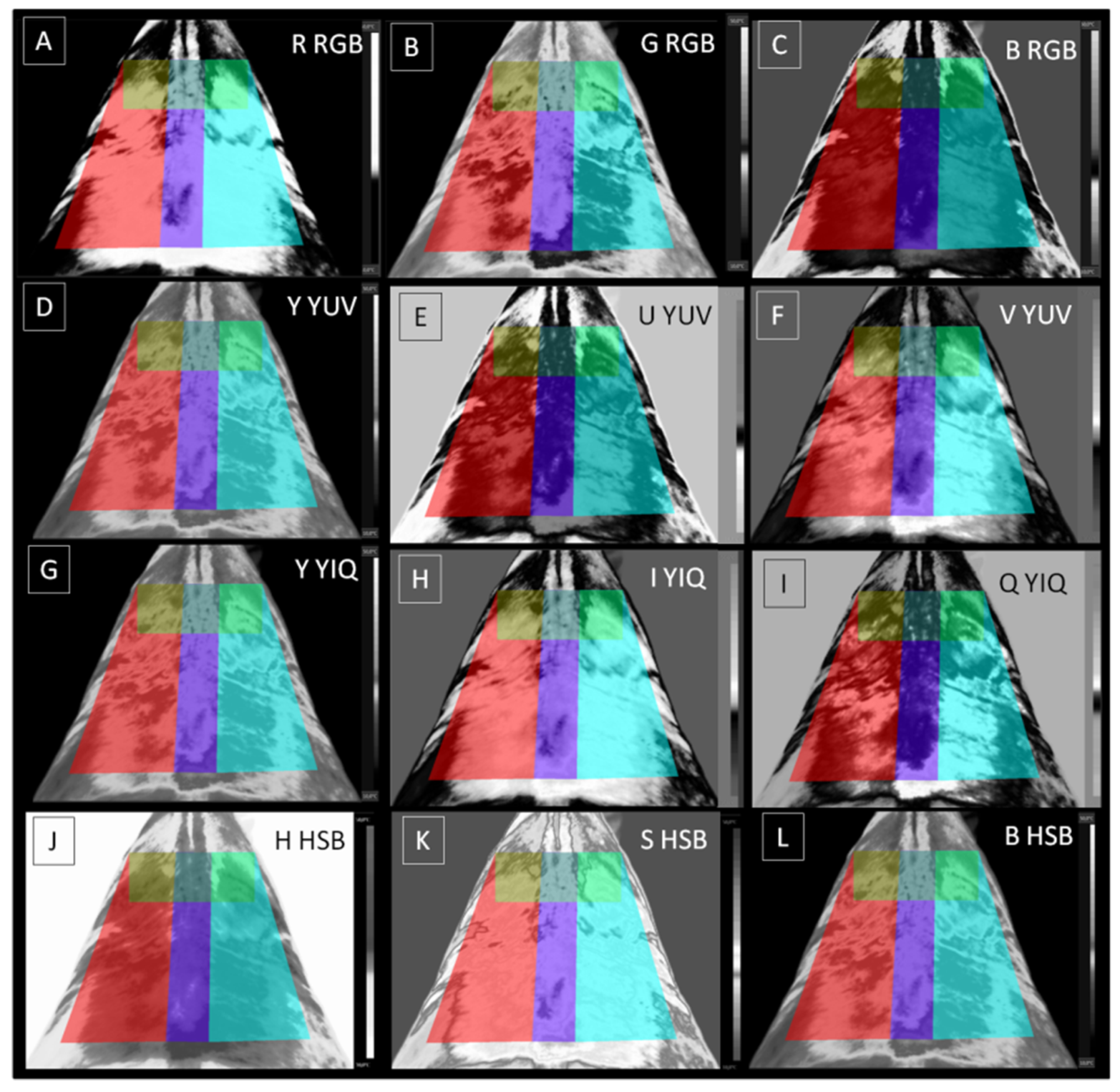 Animals 12 00444 g002 Animals 12 00444 g002