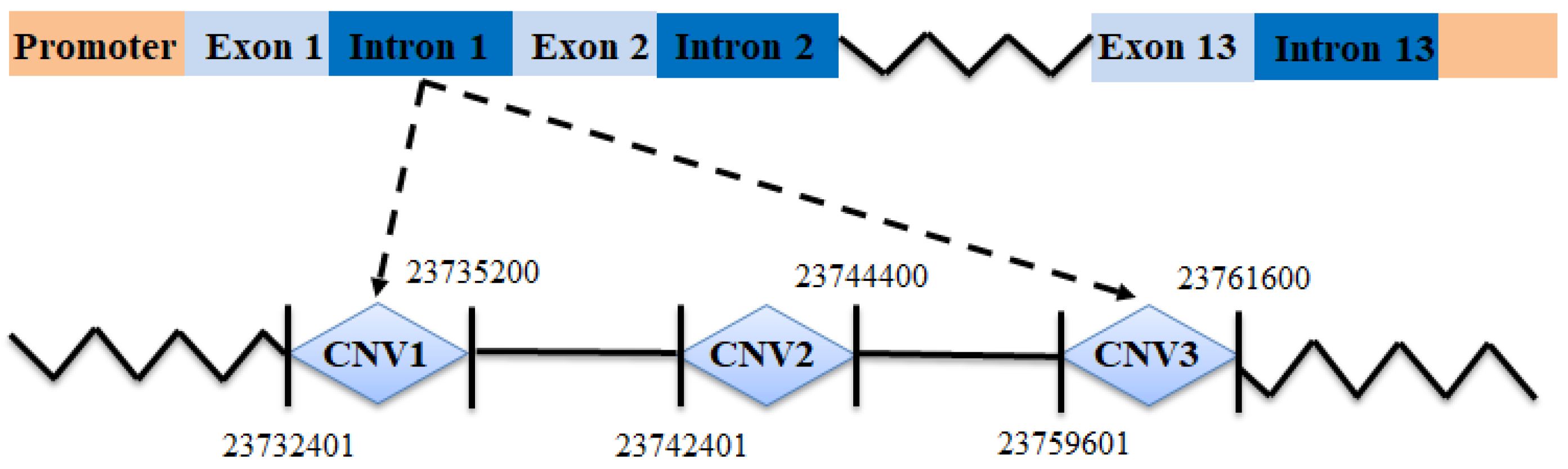 Animals 12 00445 g001 550