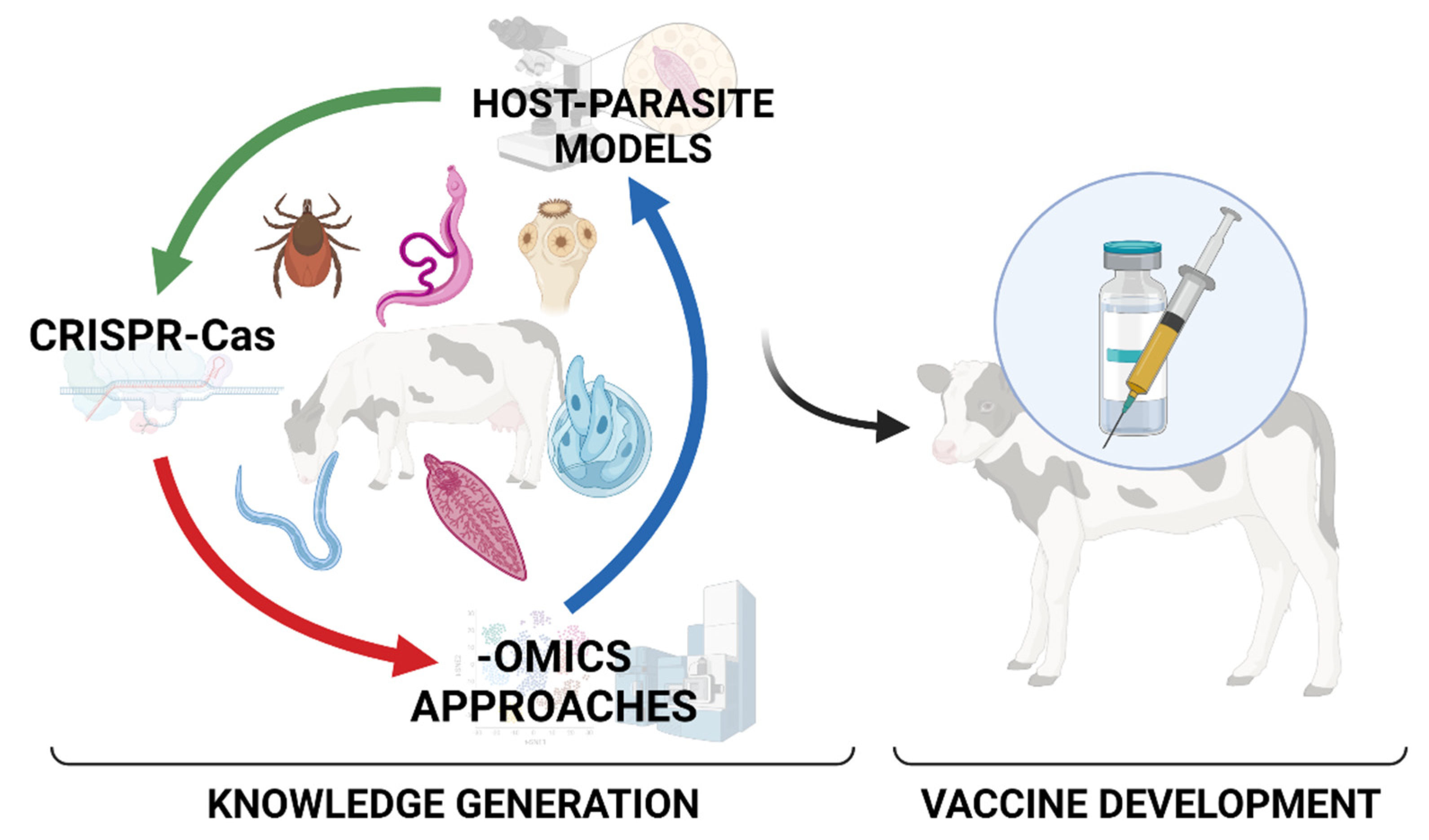 Parasite animal