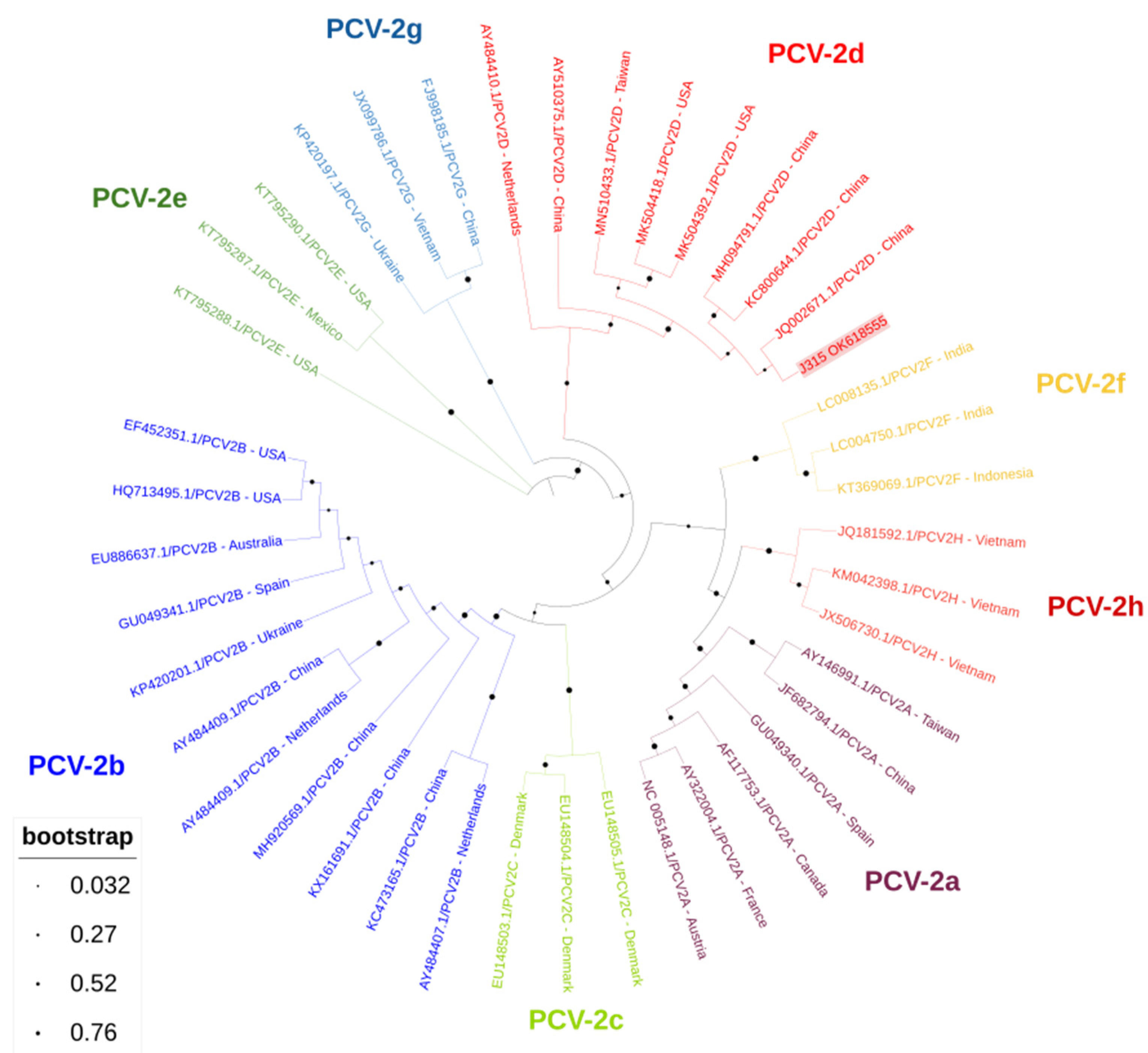 Animals 12 00451 g001 550