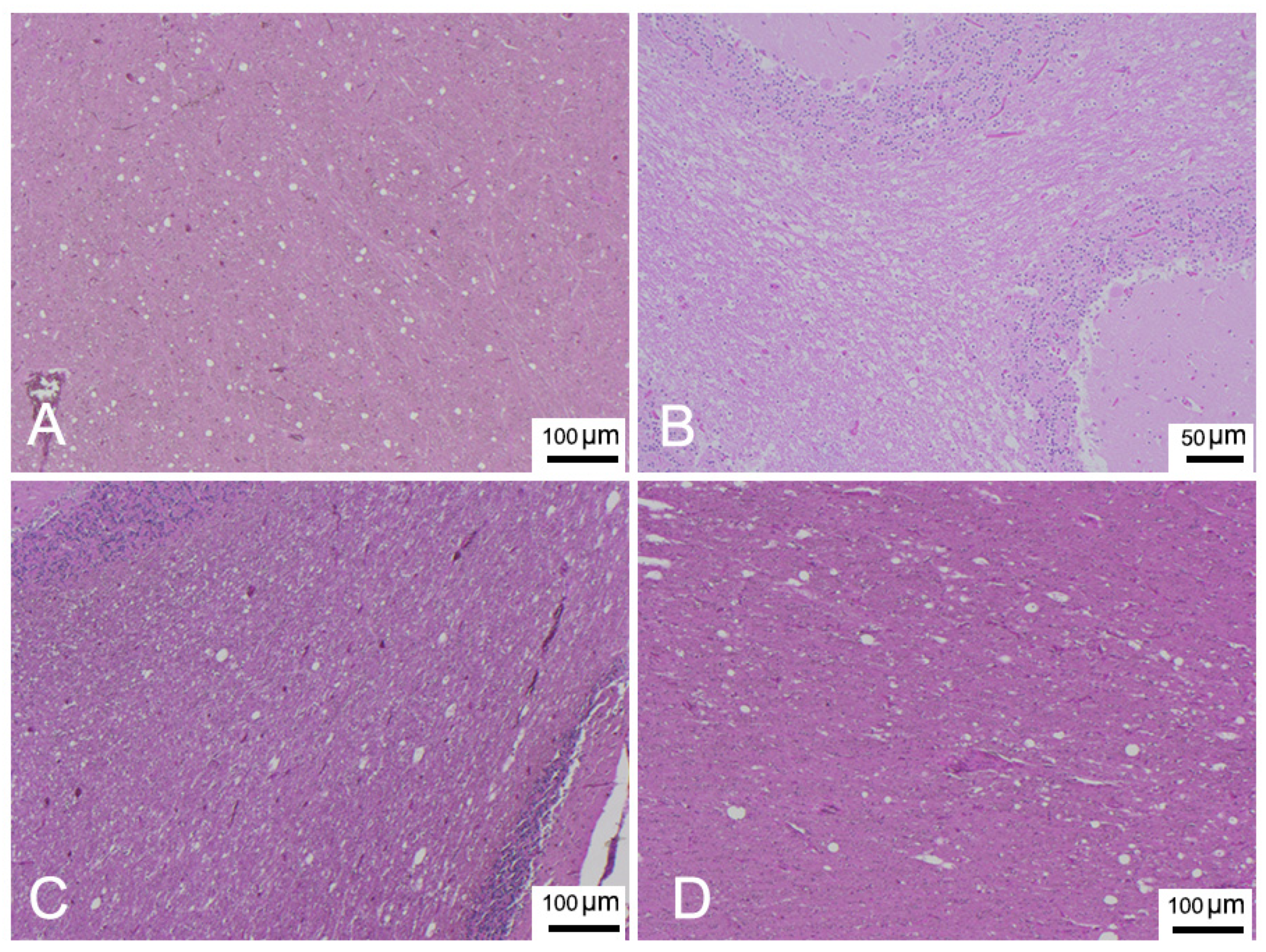 Animals 12 00452 g003 Animals 12 00452 g003