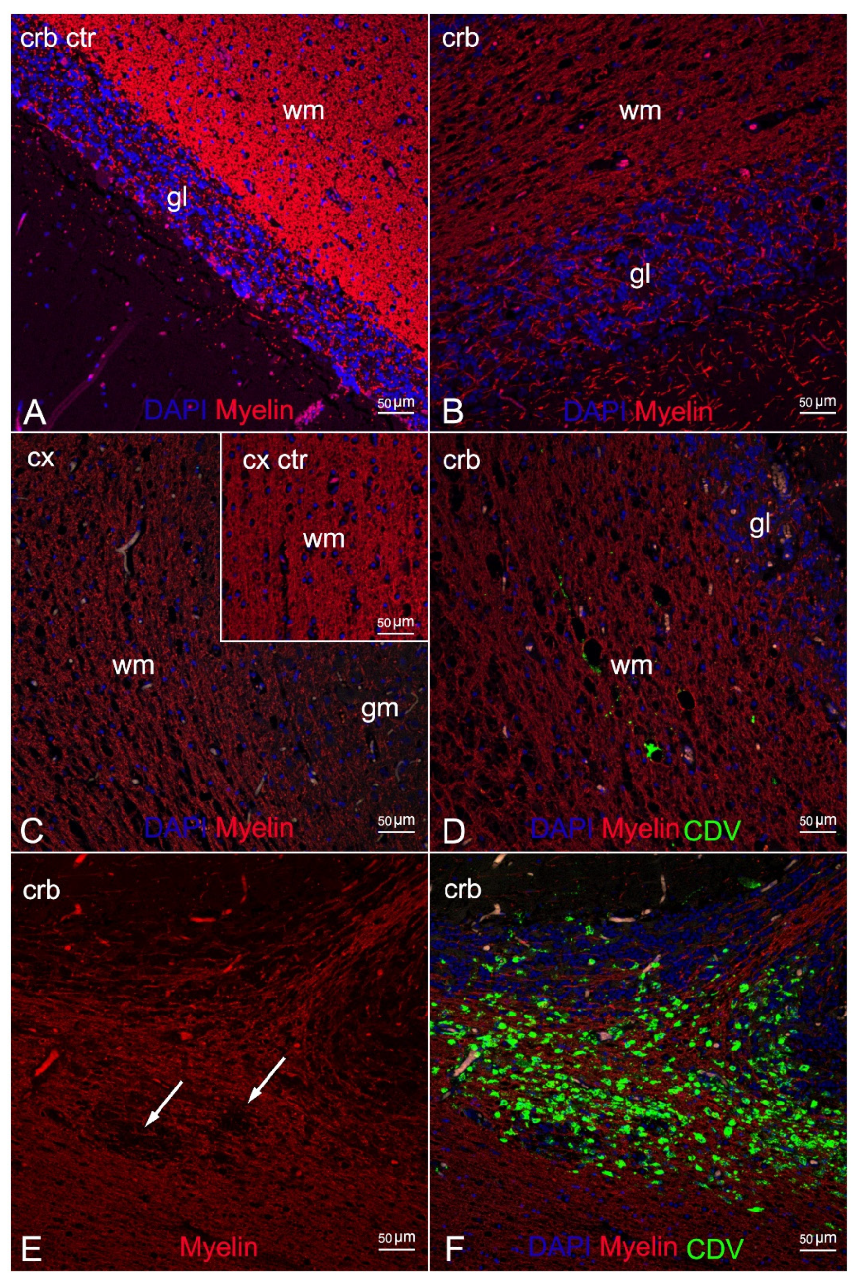 Animals 12 00452 g004 Animals 12 00452 g004