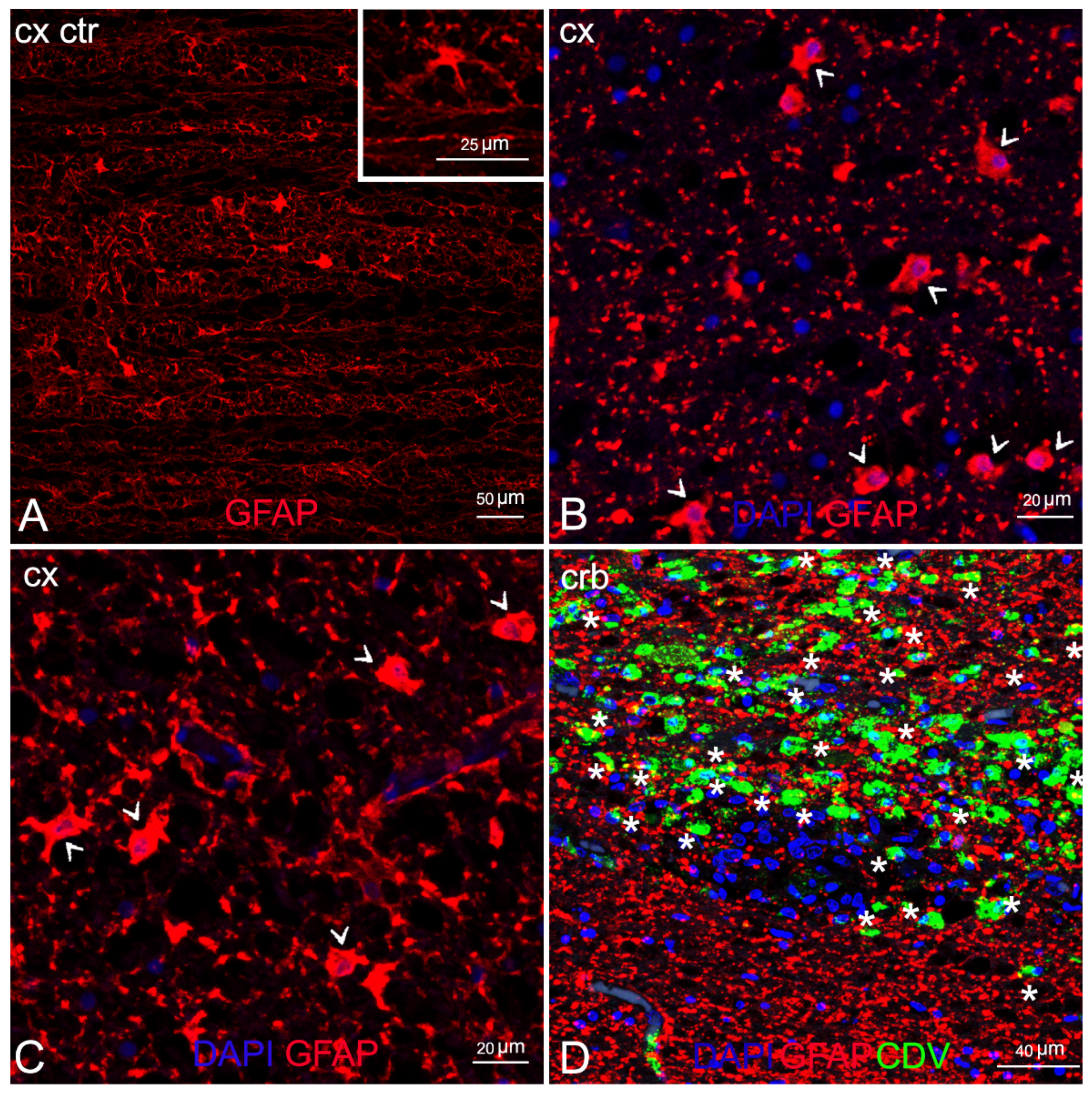 Animals 12 00452 g005 Animals 12 00452 g005
