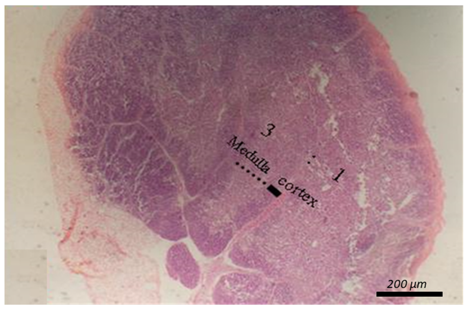 Animals 12 00453 g002 550