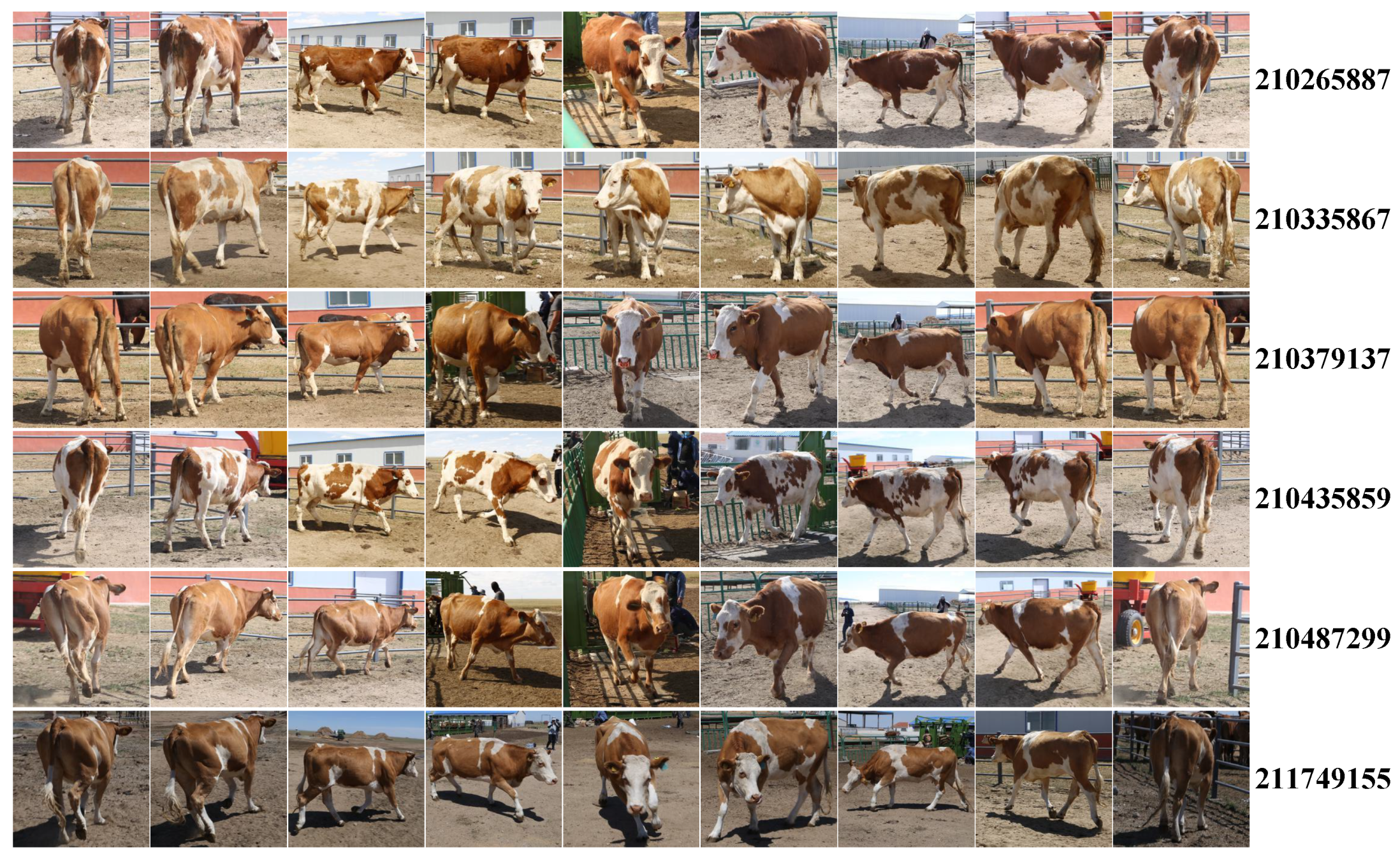 Animals 12 00459 g002 550