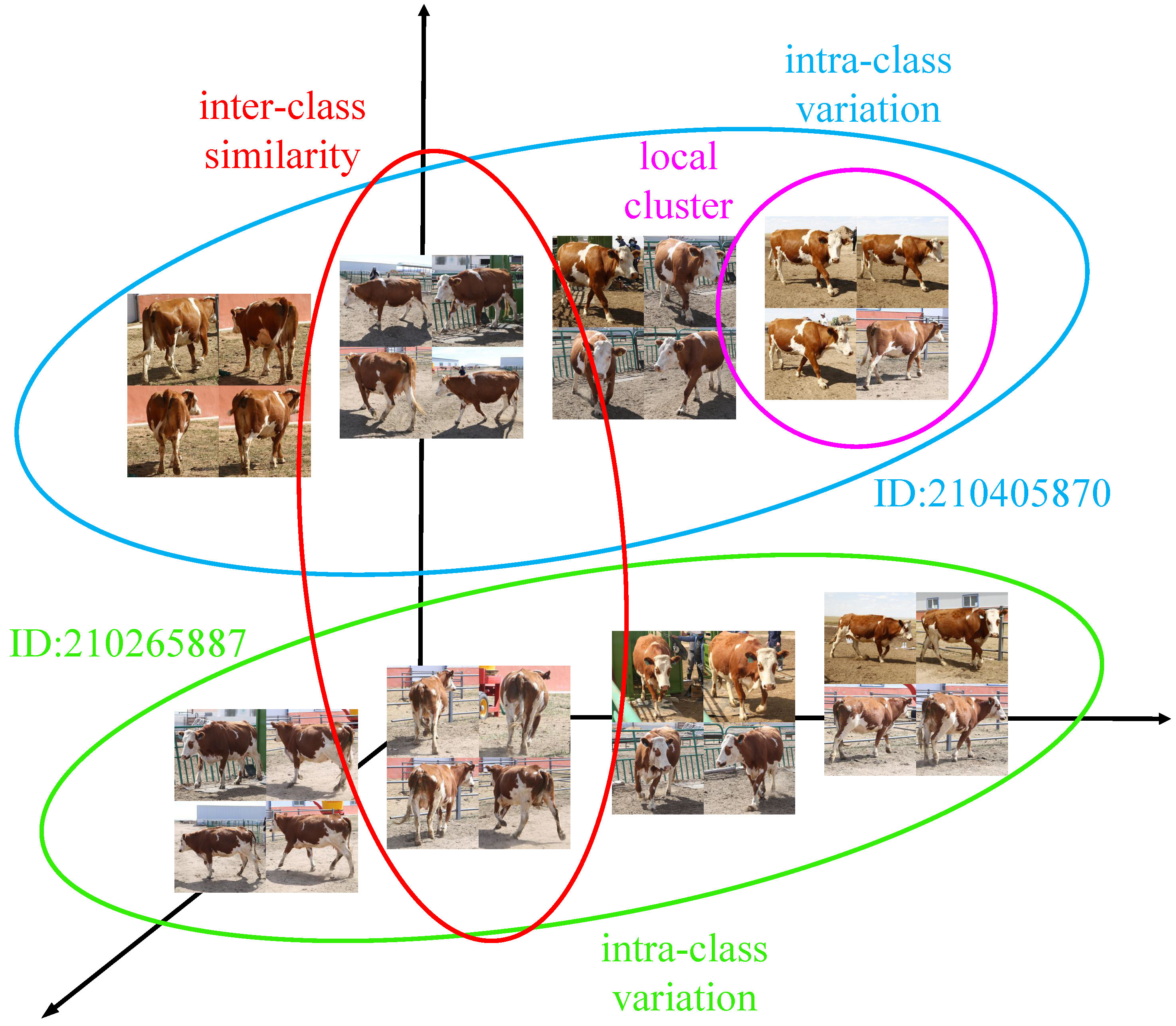 Animals 12 00459 g003 550