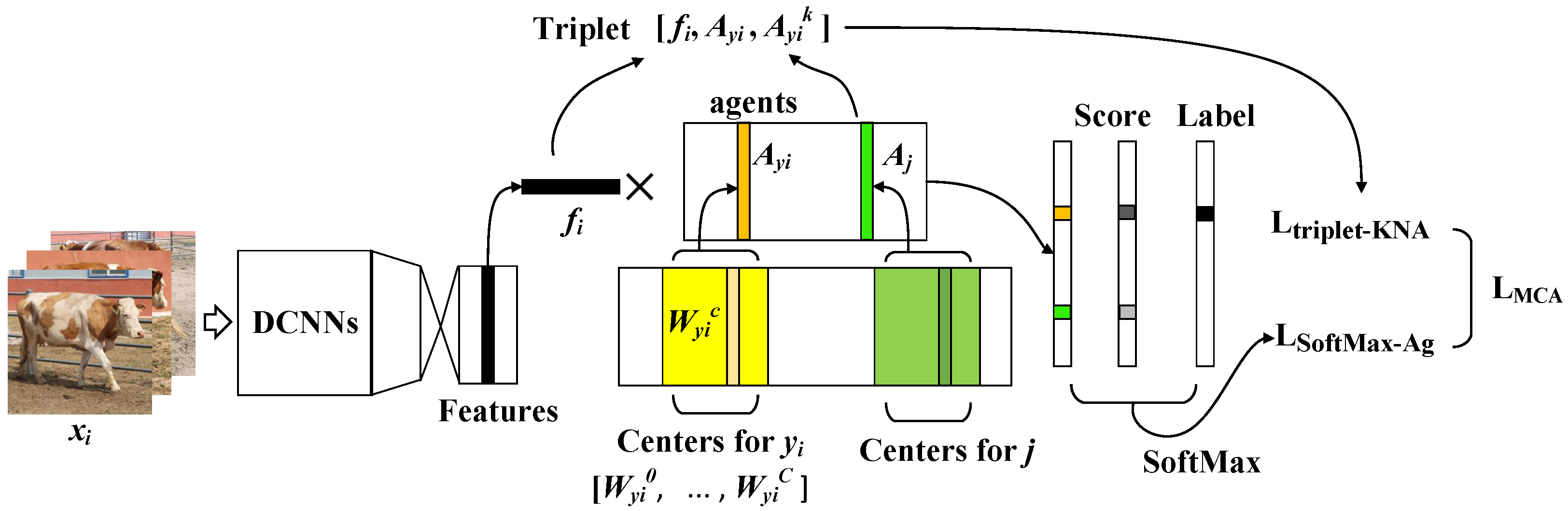 Animals 12 00459 g004 550