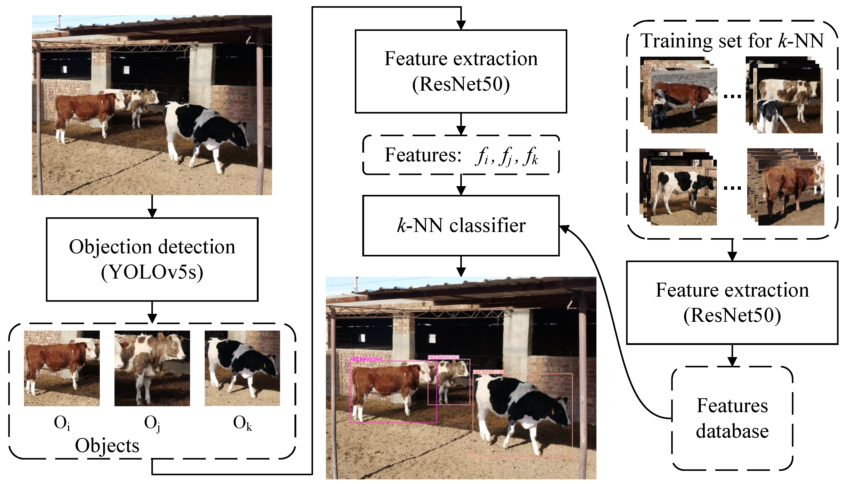 Animals 12 00459 g006 550