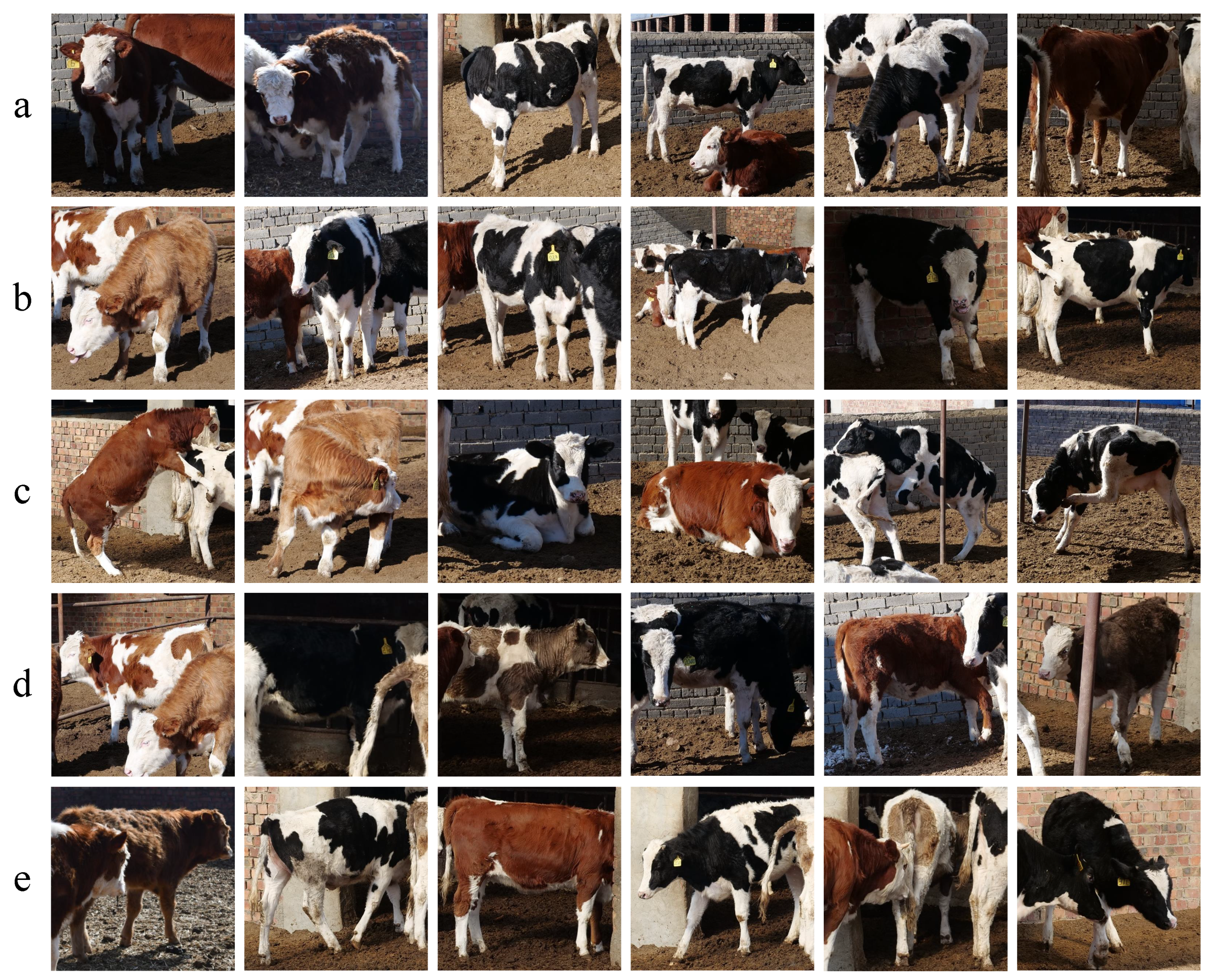 Animals 12 00459 g008 550