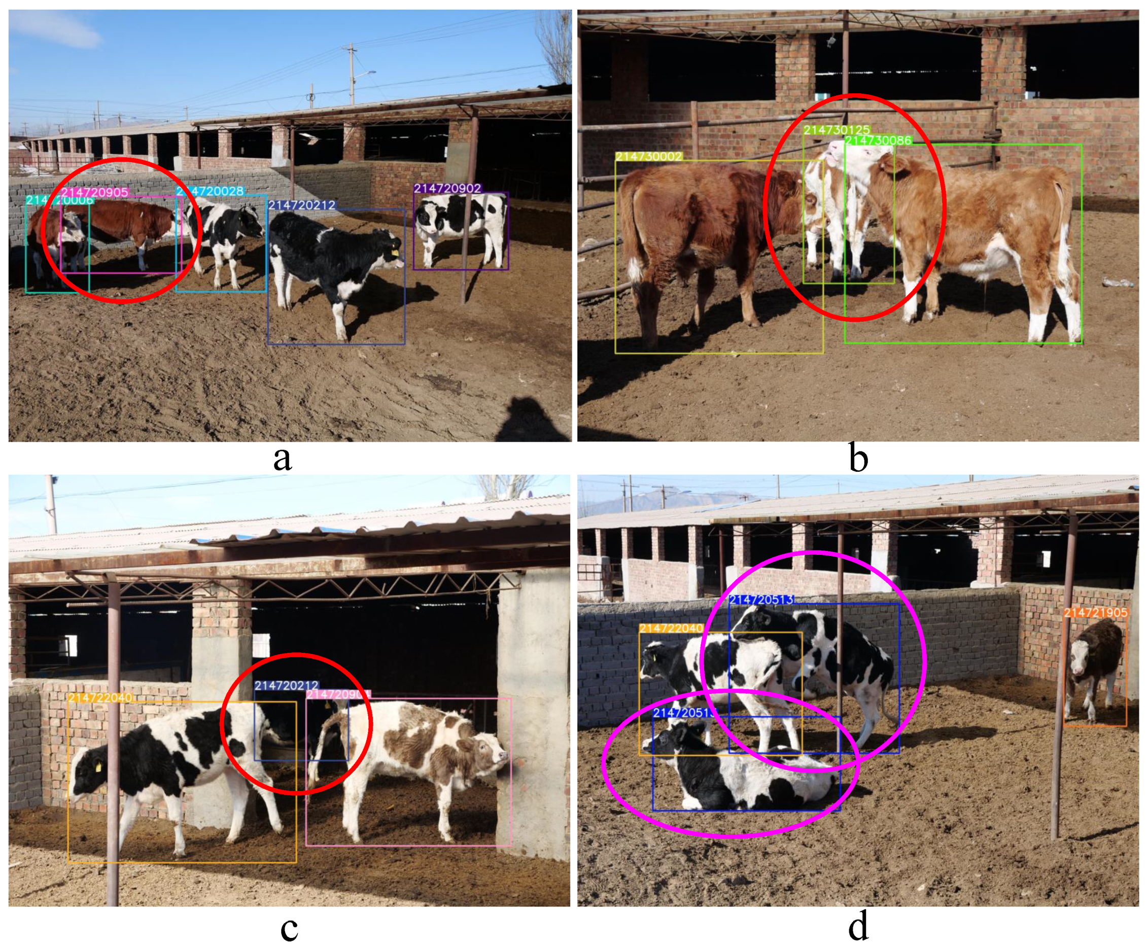 Animals 12 00459 g010 550