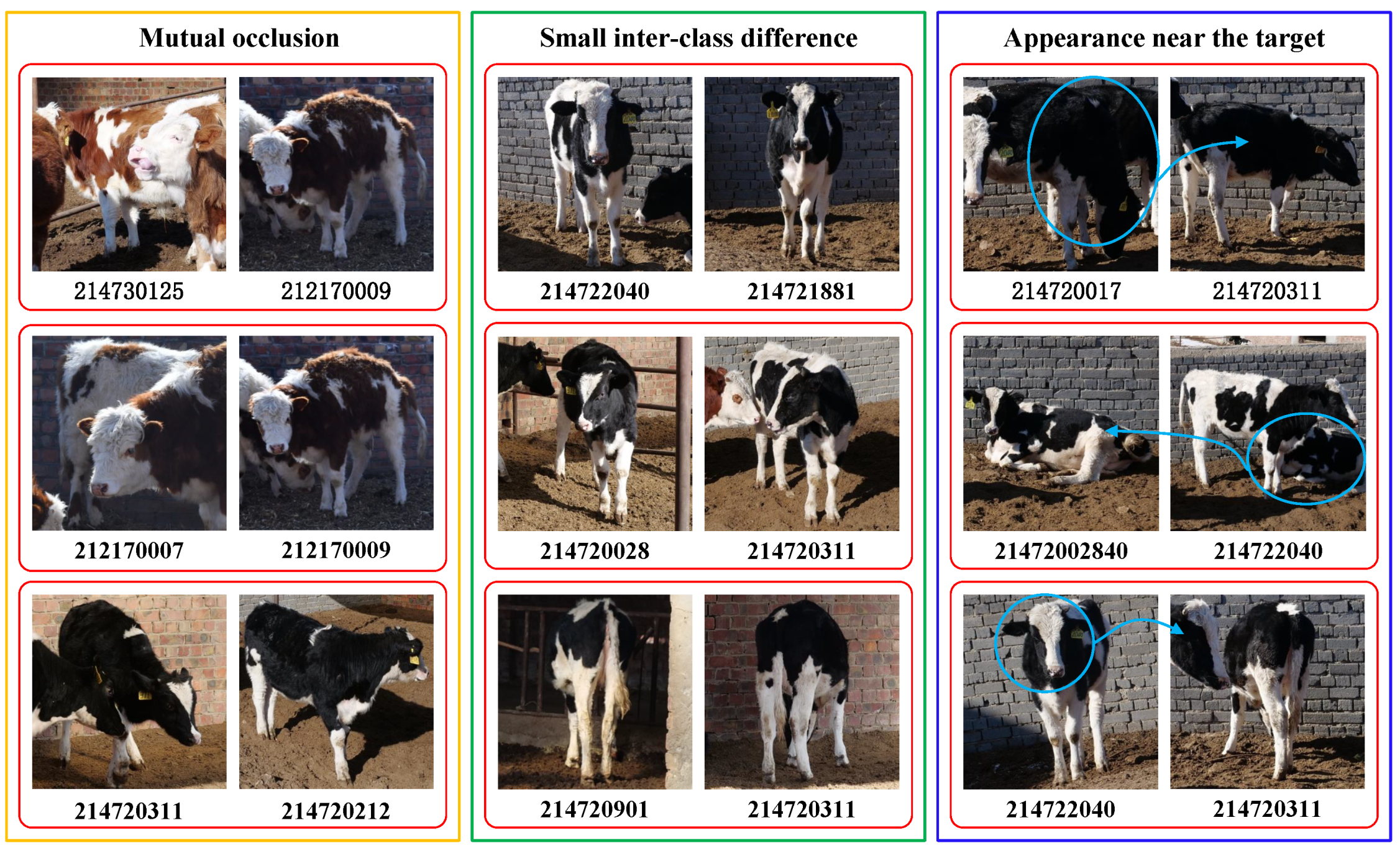 Animals 12 00459 g011 550