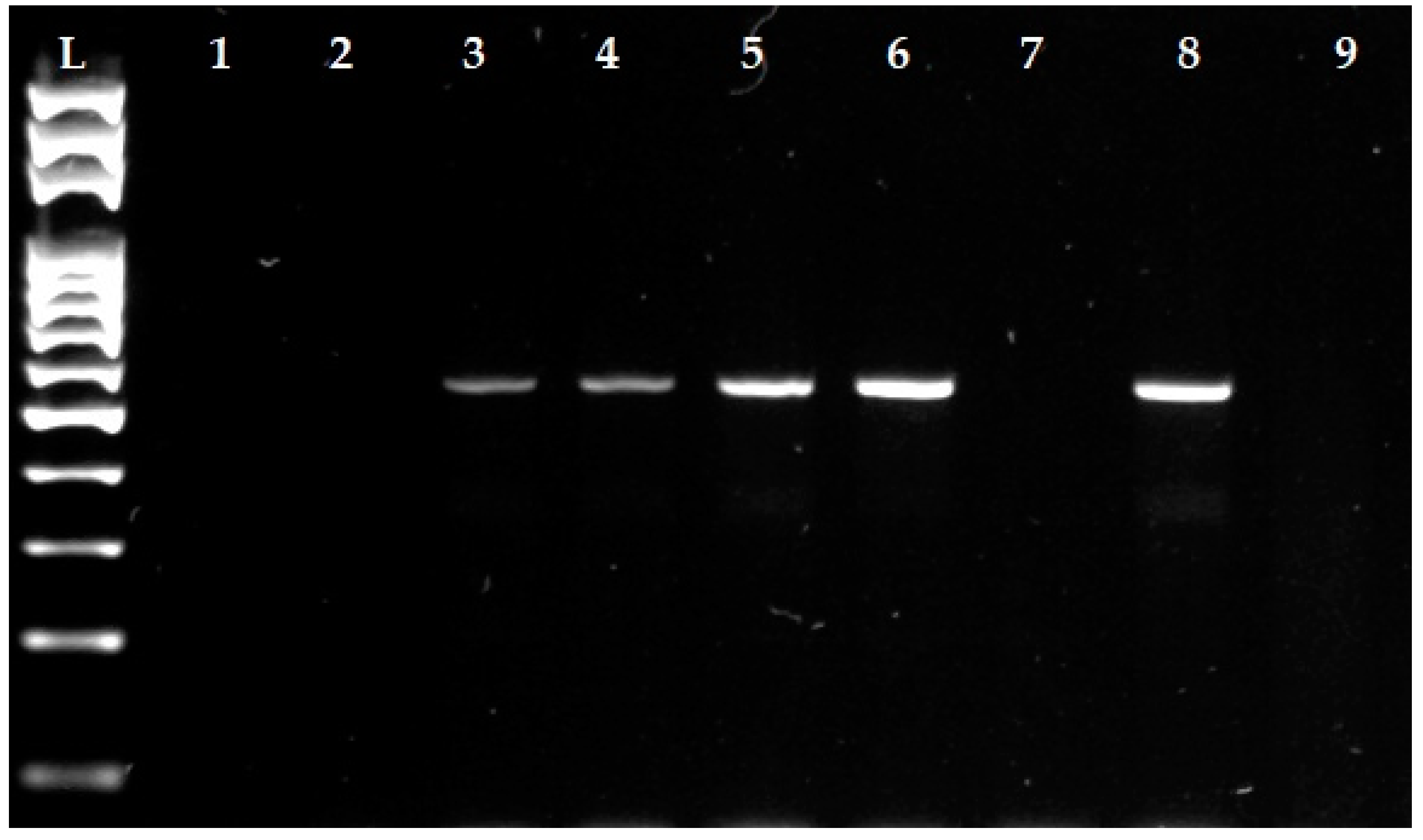 Animals 12 00470 g004 Animals 12 00470 g004