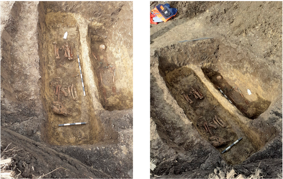 Animals | Free Full-Text | Morphological Characteristics of a Horse Discovered in an Avar-Period Grave from Sâncraiu de Mureș (Alba County, Romania) Animals | Free Full-Text | Morphological Characteristics of a Horse Discovered in an Avar-Period Grave from Sâncraiu de Mureș (Alba County, Romania)