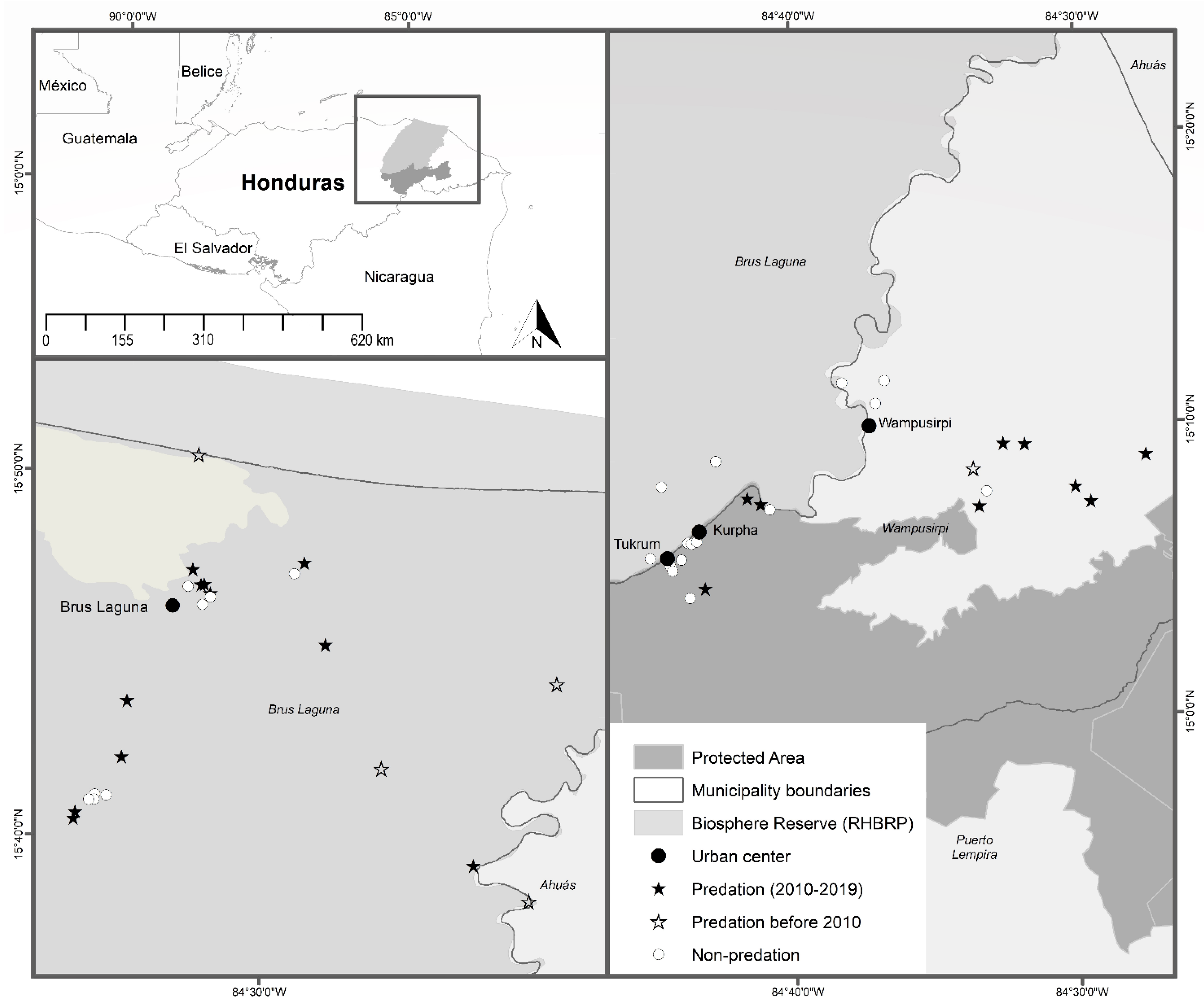 Animals 12 00479 g001