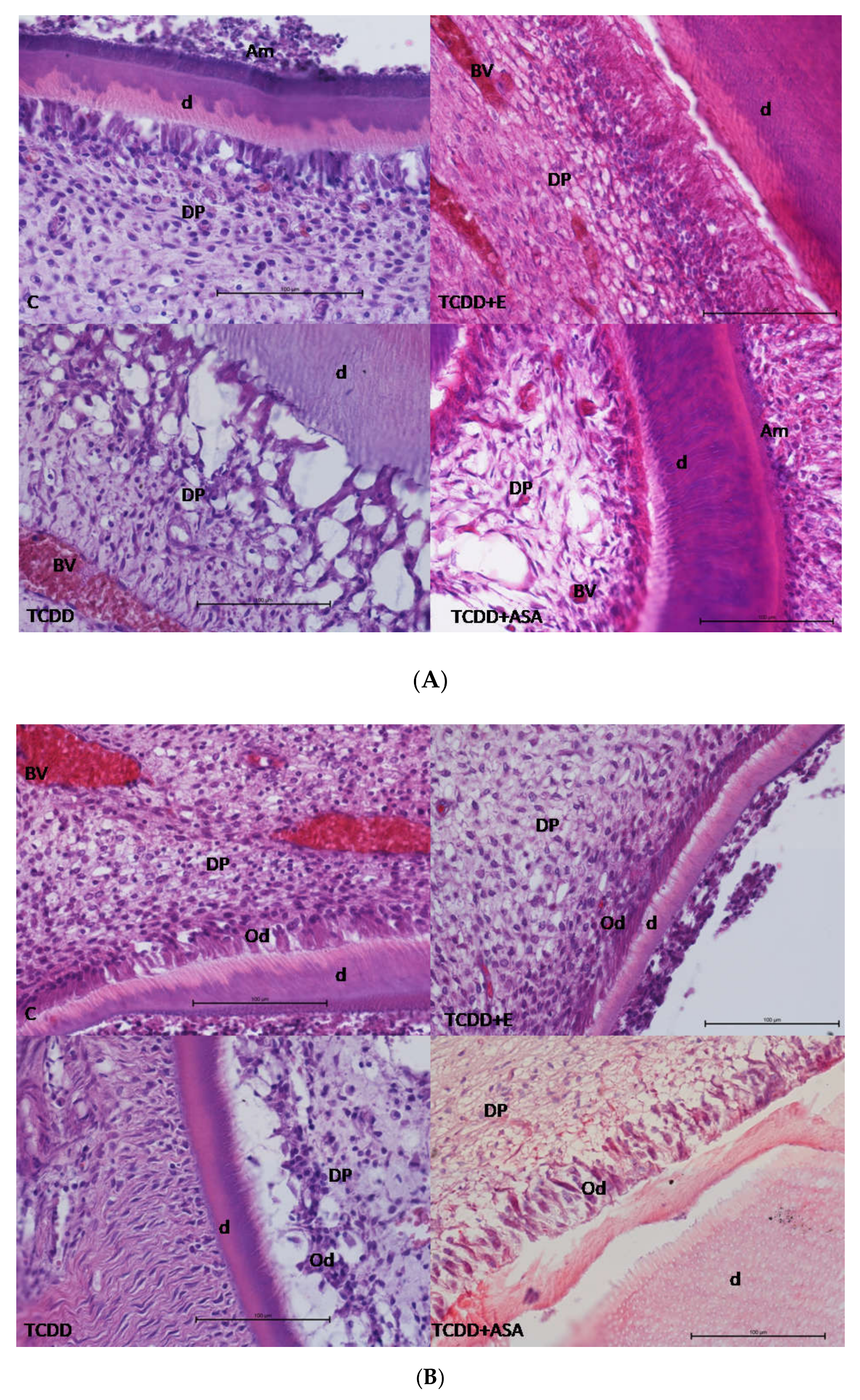 Animals 12 00484 g001 Animals 12 00484 g001