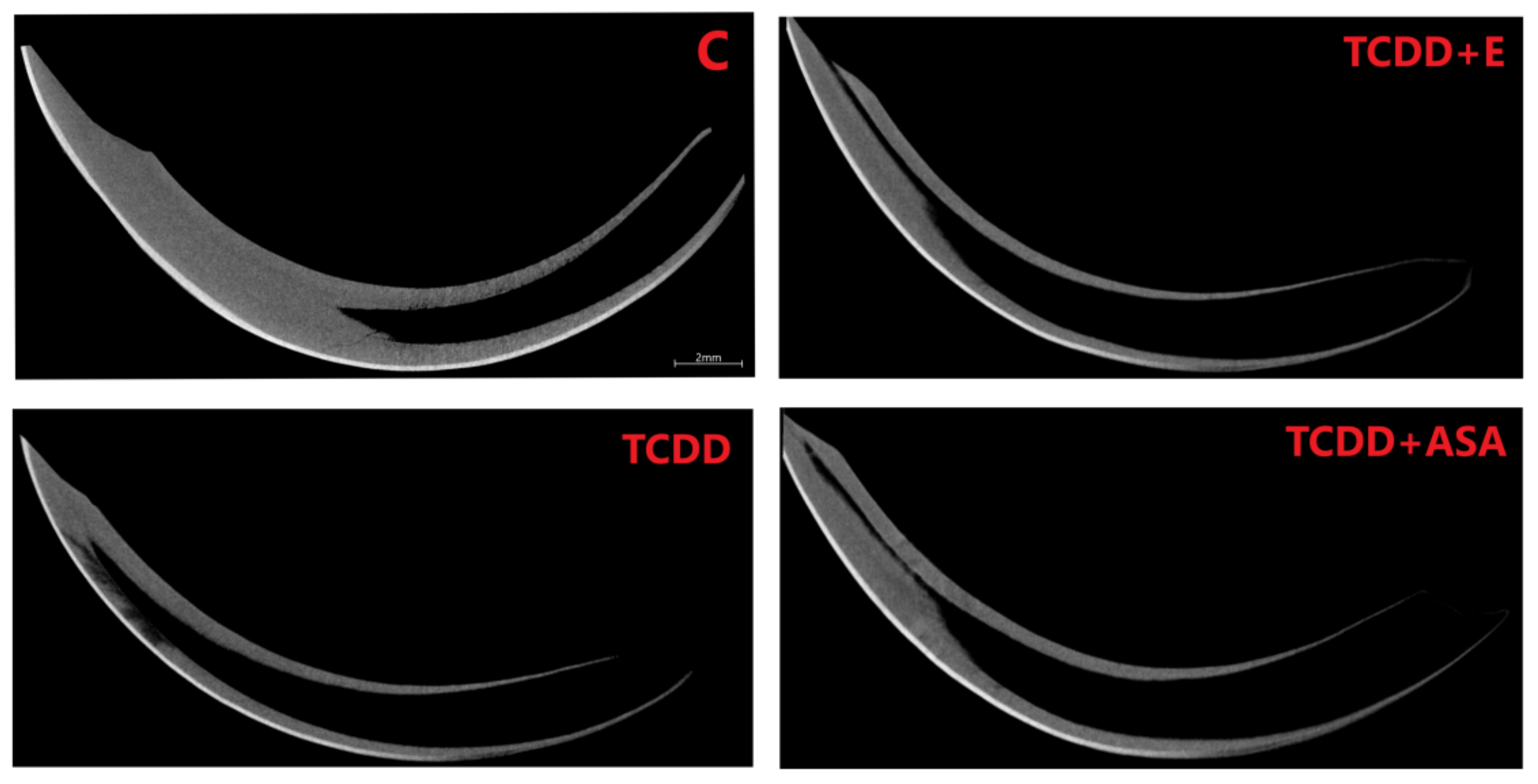 Animals 12 00484 g004 Animals 12 00484 g004