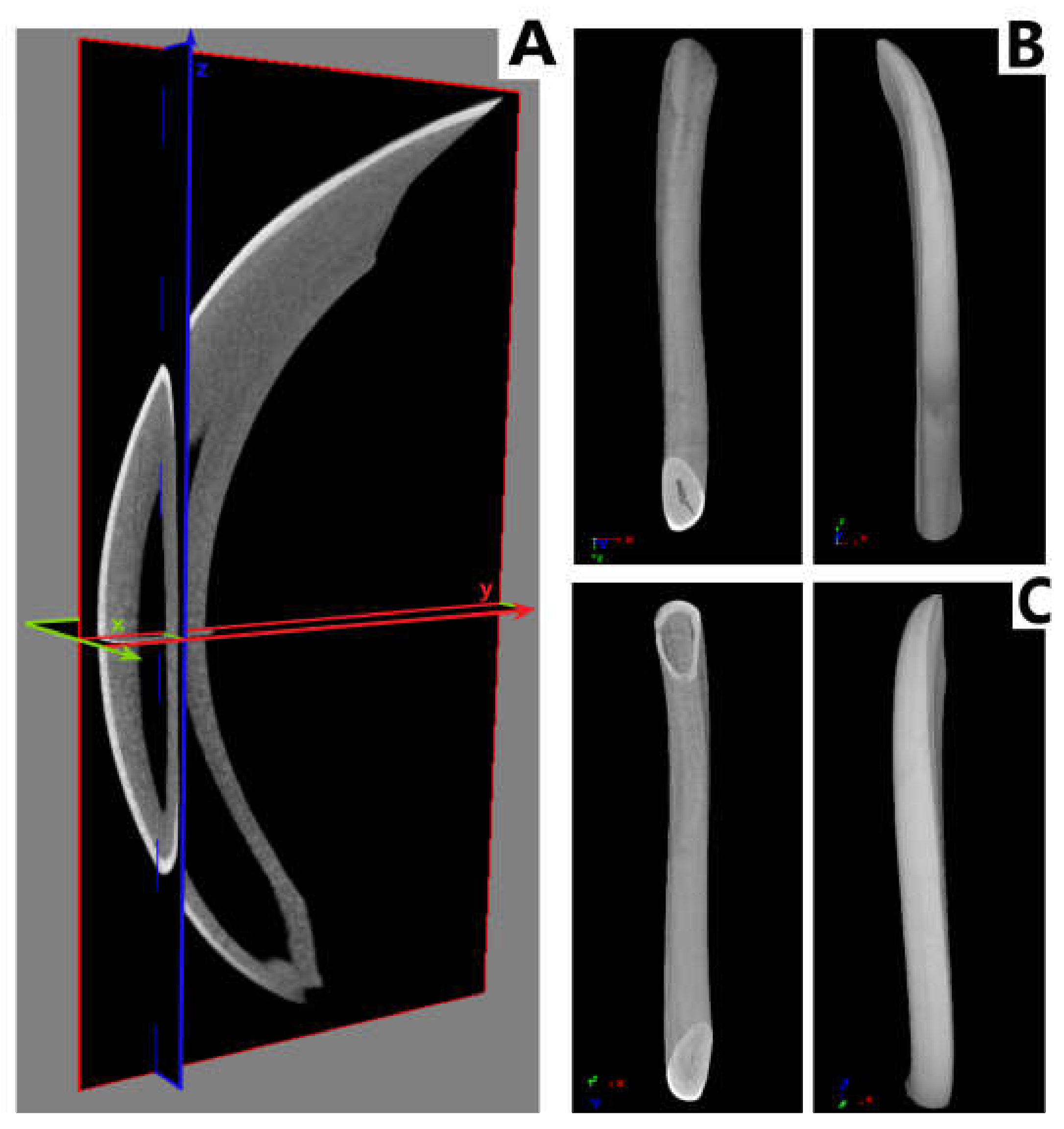 Animals 12 00484 g006 Animals 12 00484 g006
