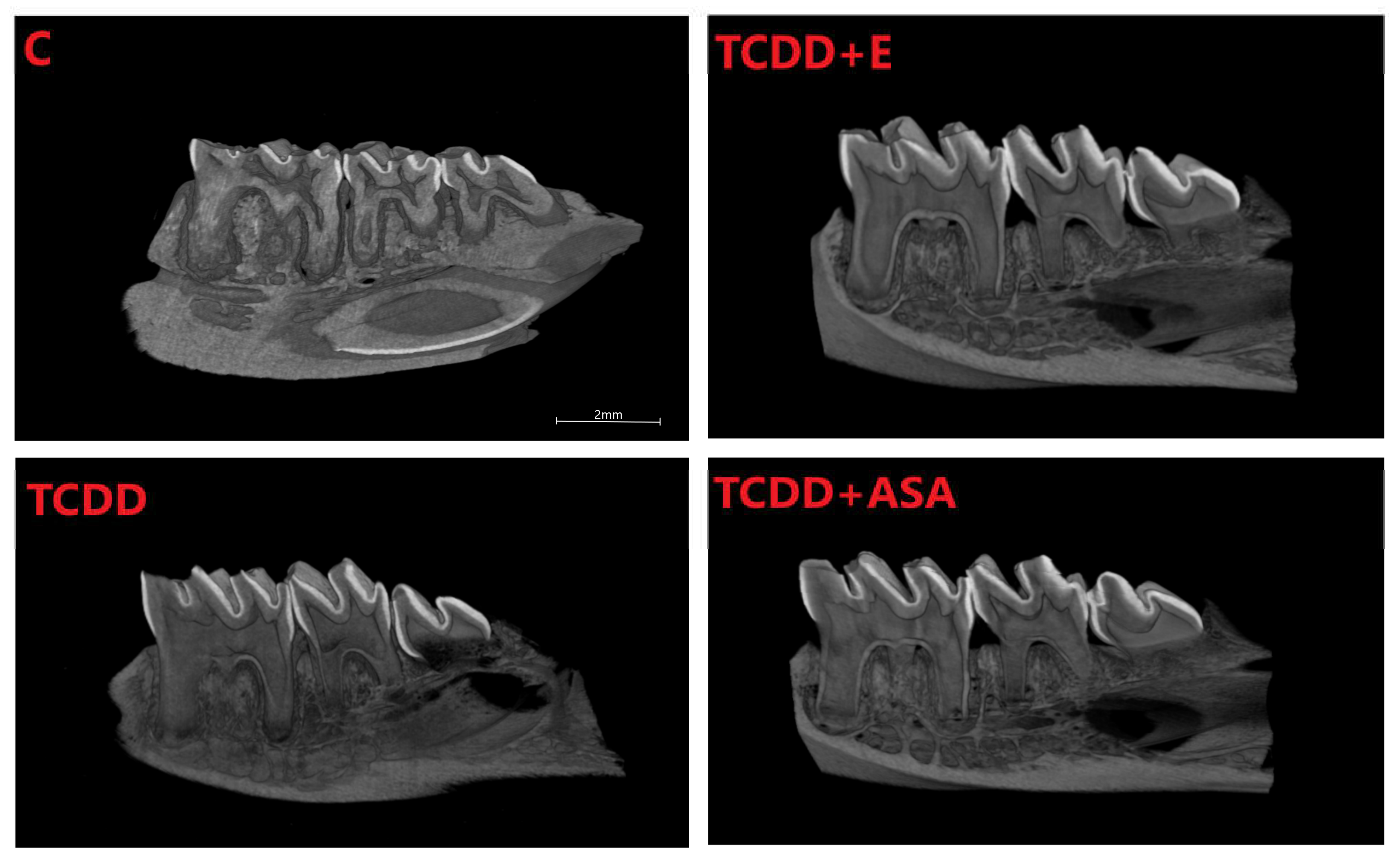 Animals 12 00484 g007 Animals 12 00484 g007