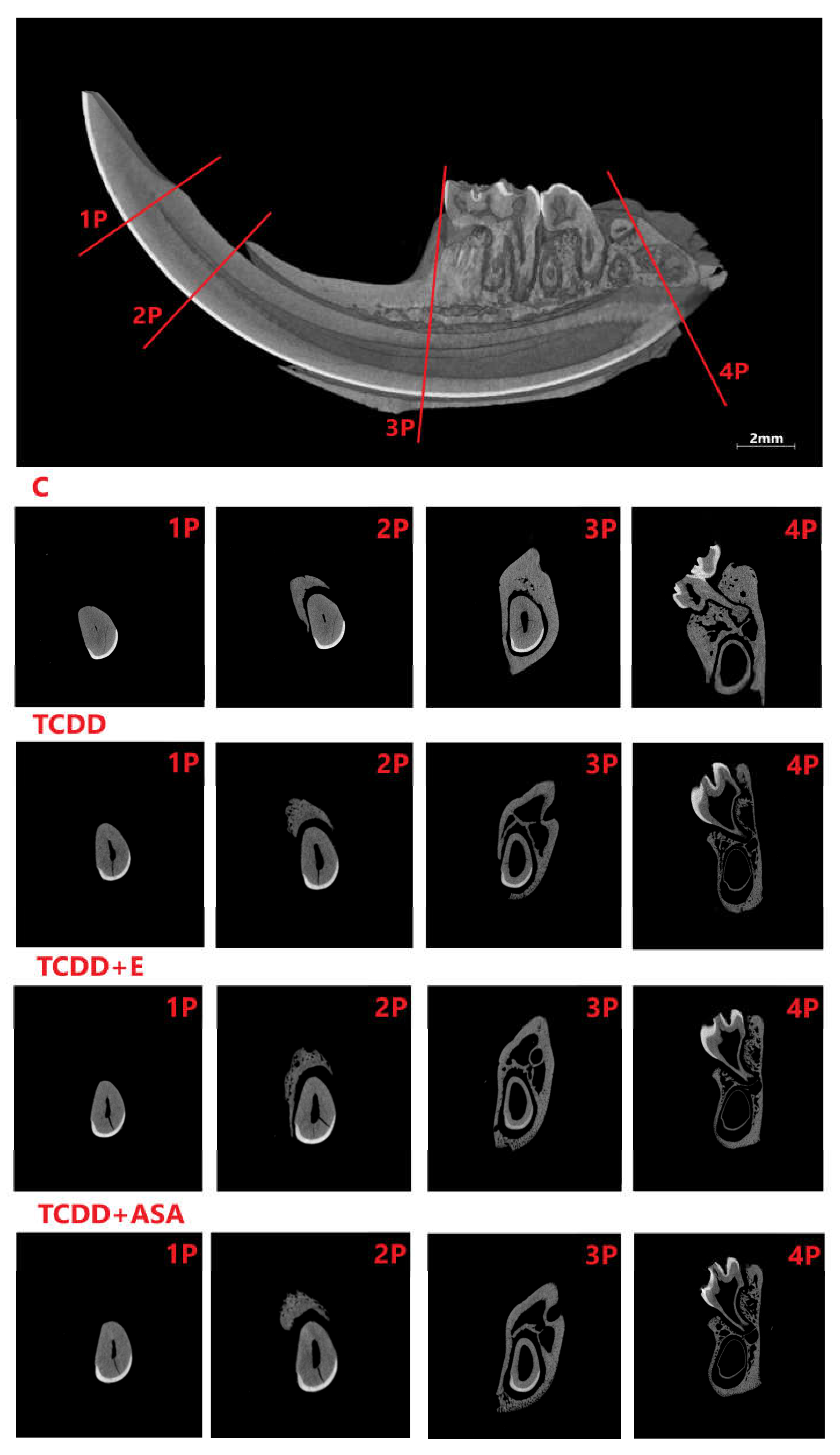 Animals 12 00484 g009 Animals 12 00484 g009
