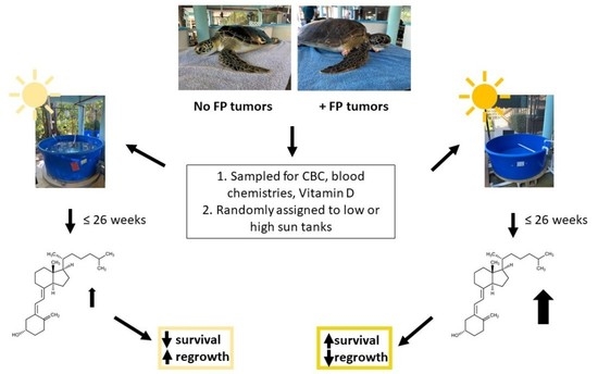 https://www.mdpi.com/animals/animals-12-00488/article_deploy/html/images/animals-12-00488-ag-550.jpg