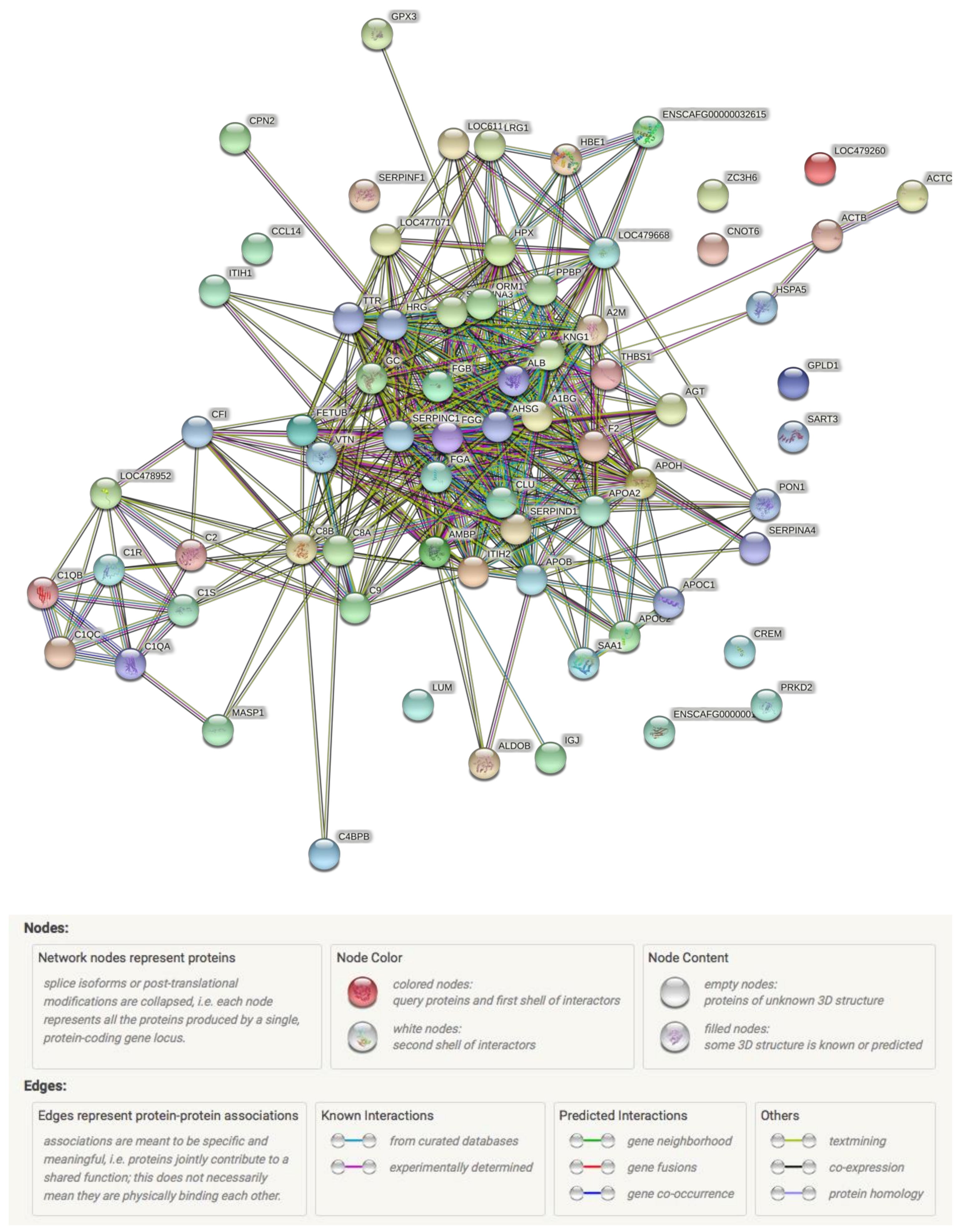 Animals 12 00490 g001