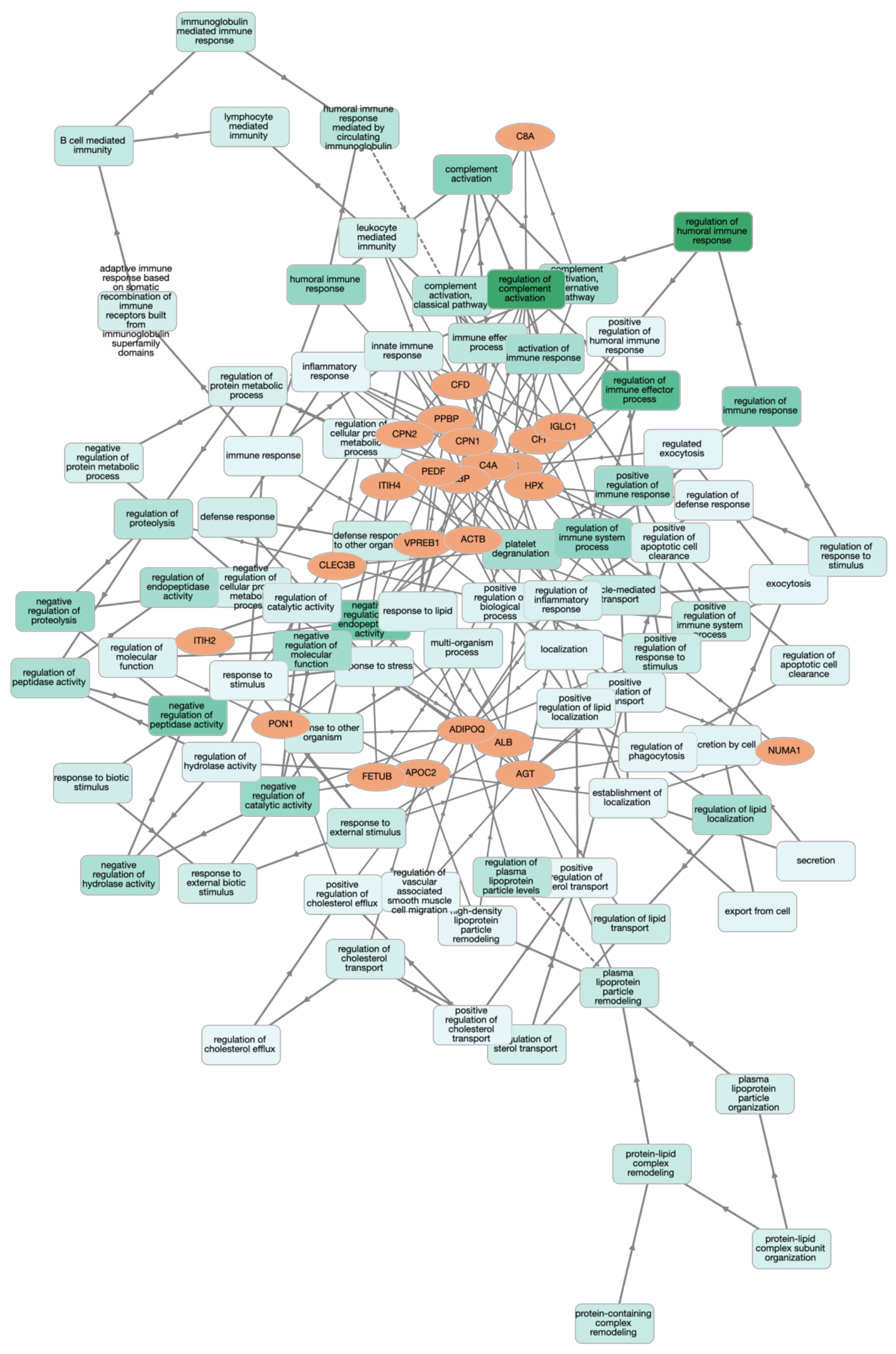 Animals 12 00490 g002