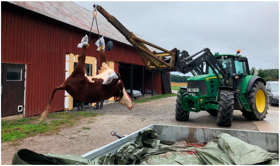 Animals 12 00492 g003 Animals 12 00492 g003