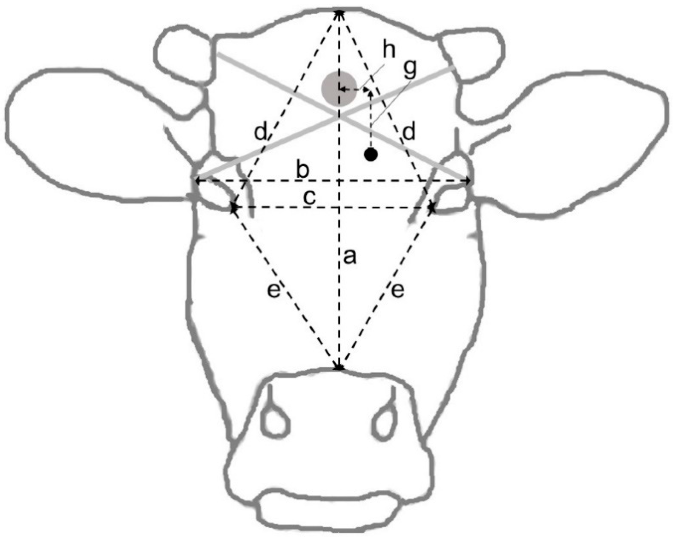 Animals 12 00492 g005 Animals 12 00492 g005