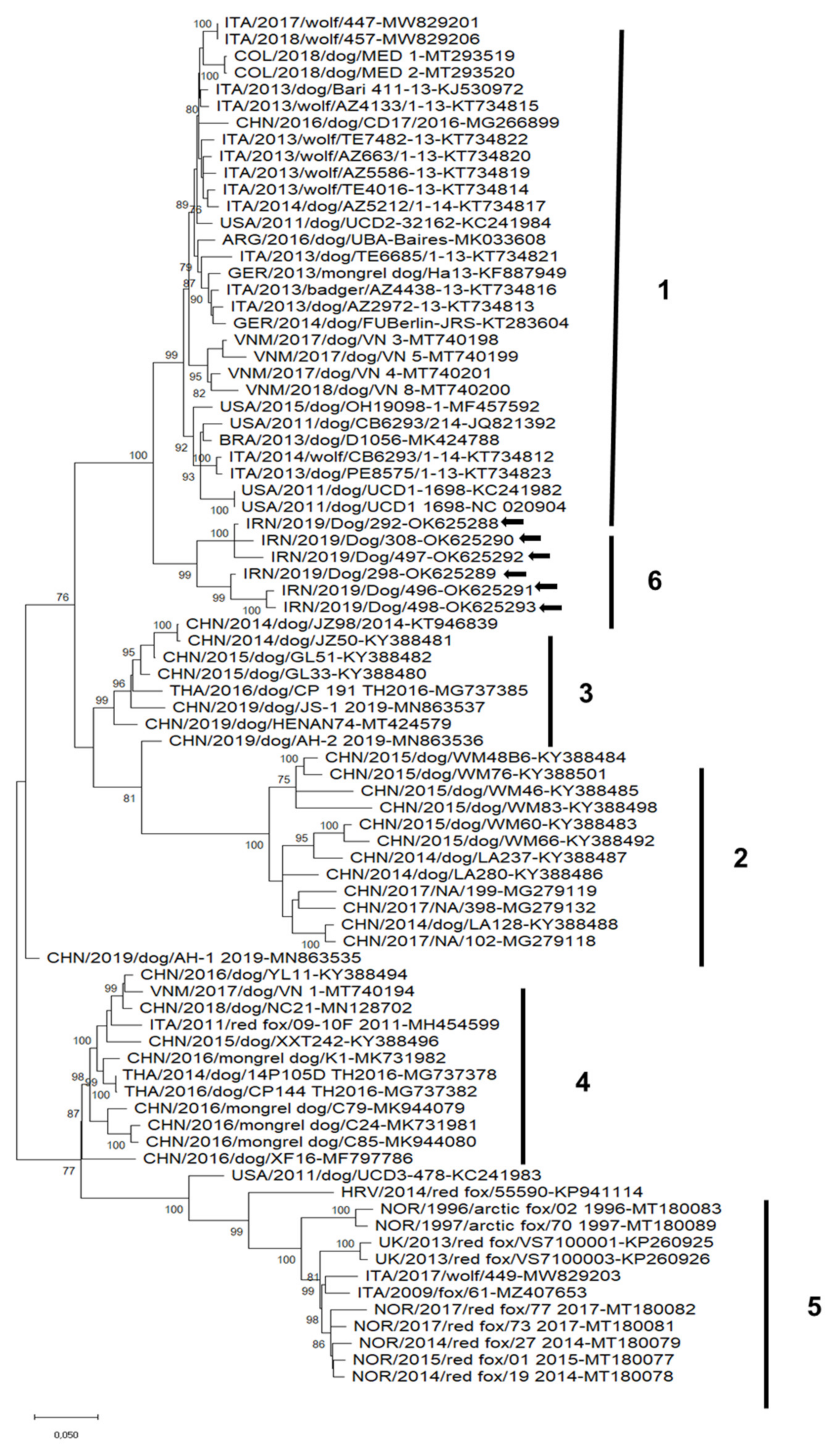 Animals 12 00507 g002 550