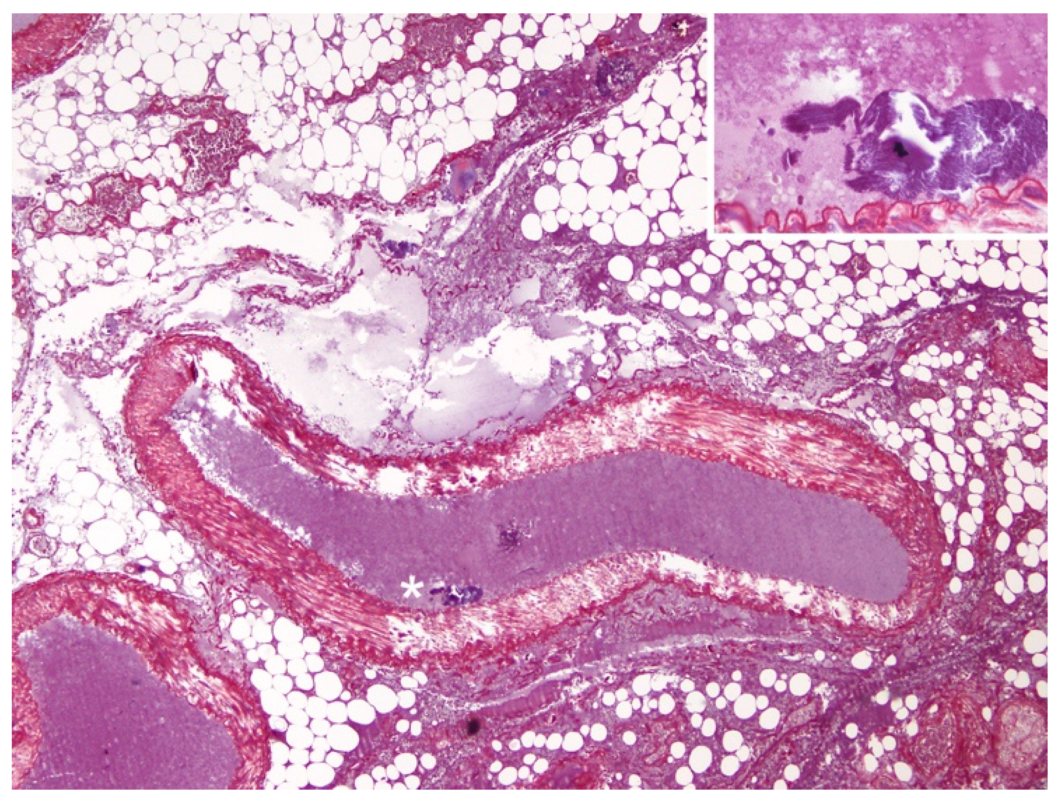 Animals 12 00508 g003