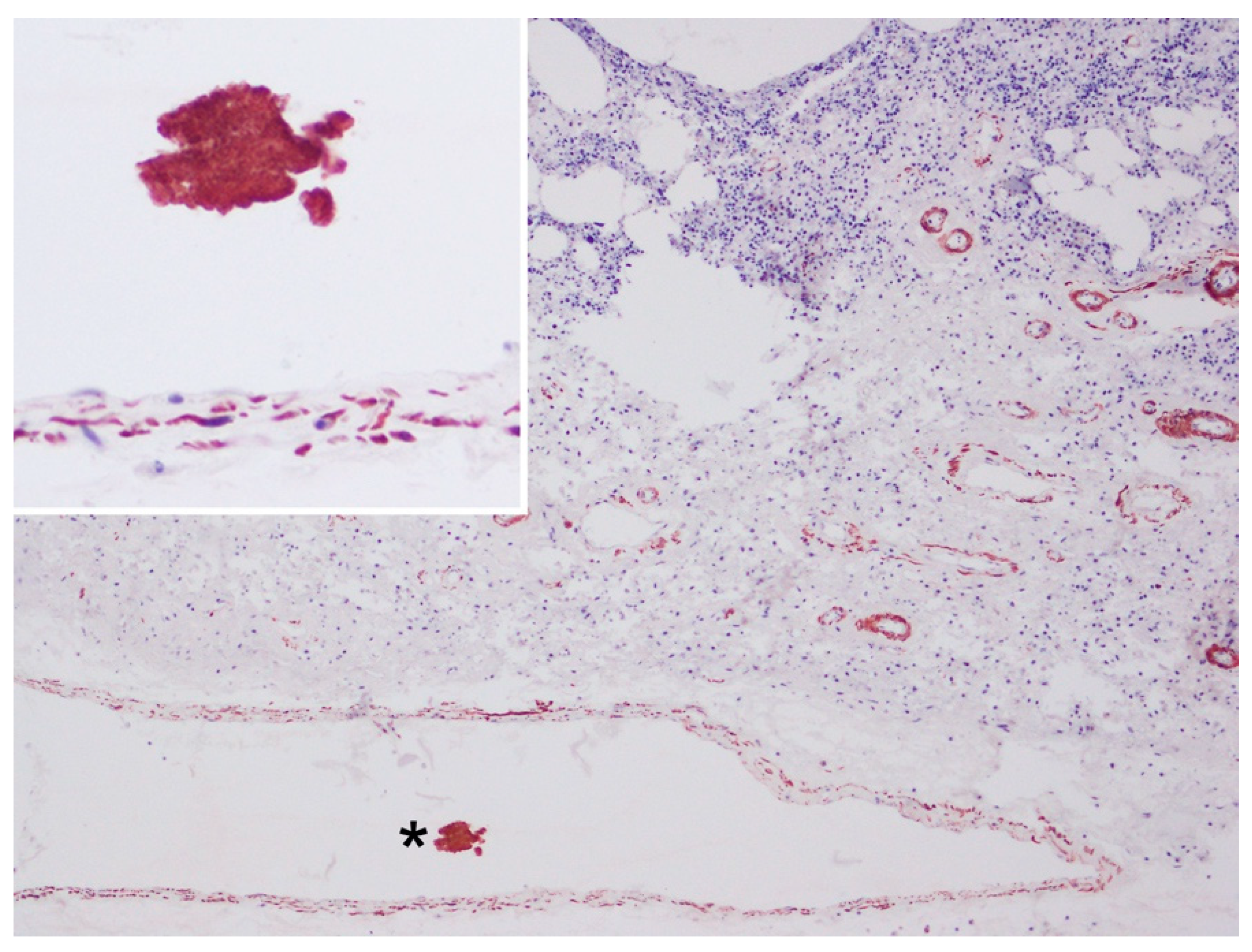 Animals 12 00508 g004