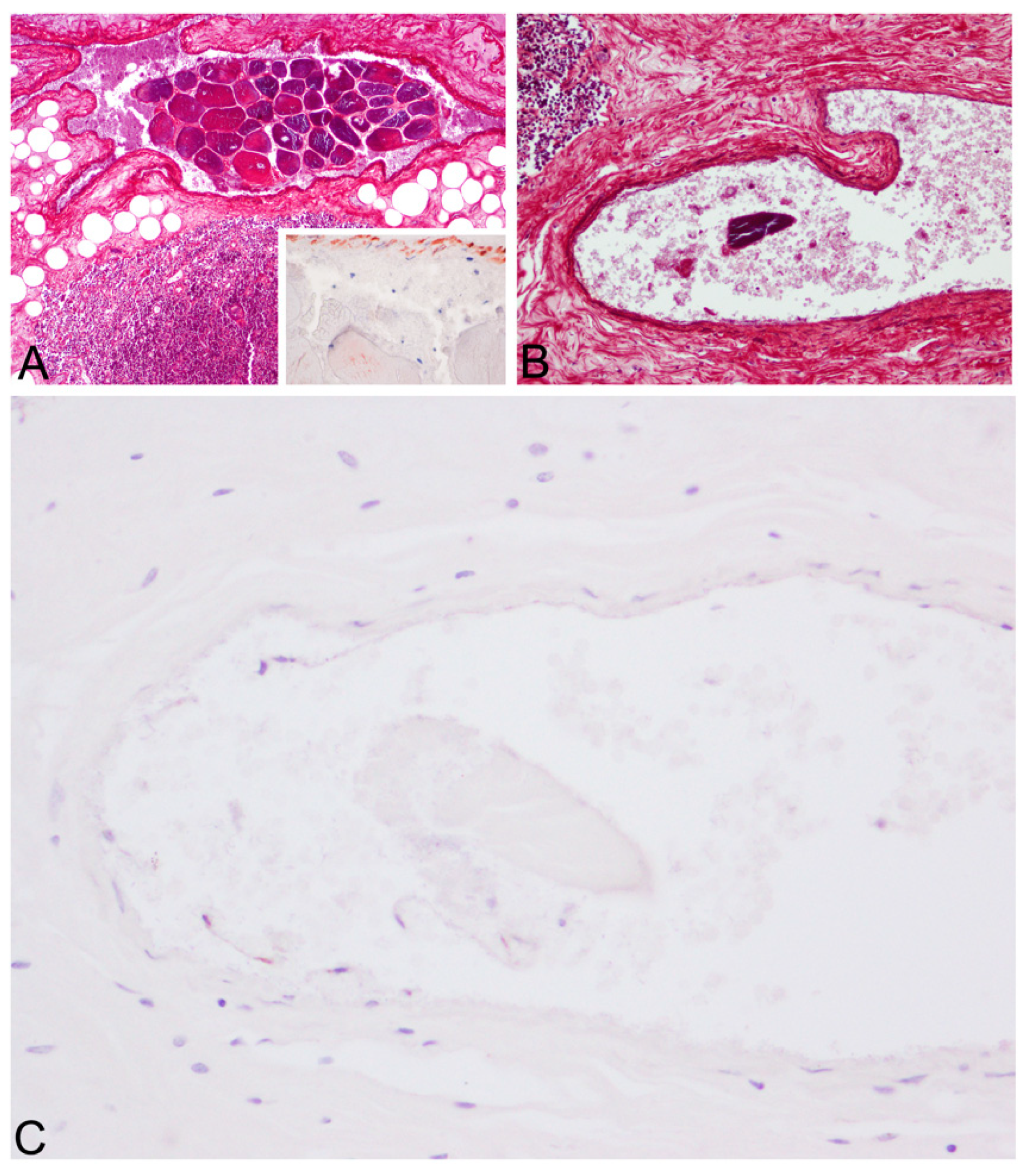 Animals 12 00508 g005