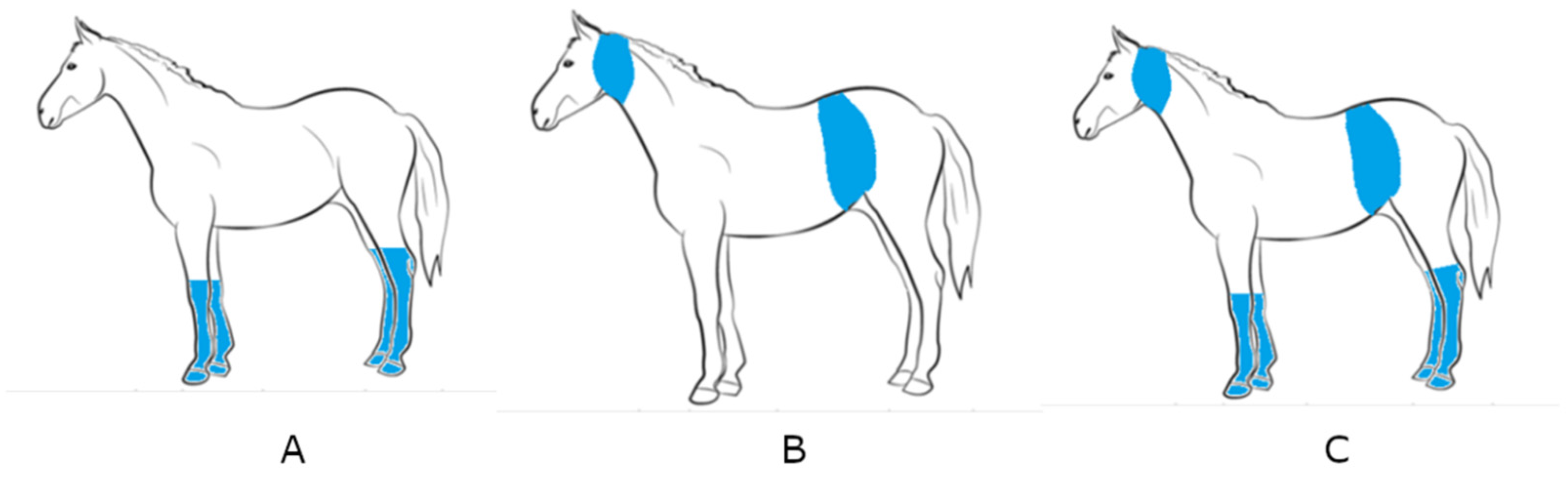 Animals 12 00525 g001 Animals 12 00525 g001