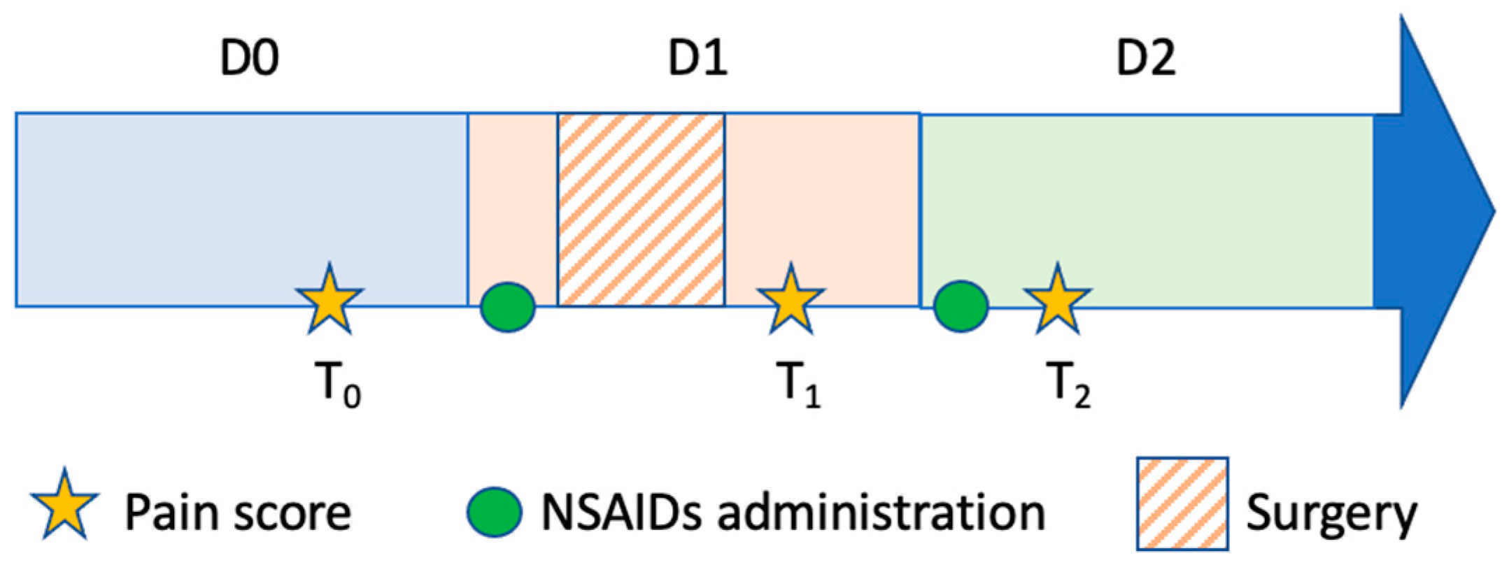 Can Dogs Take Nsaids Before Surgery