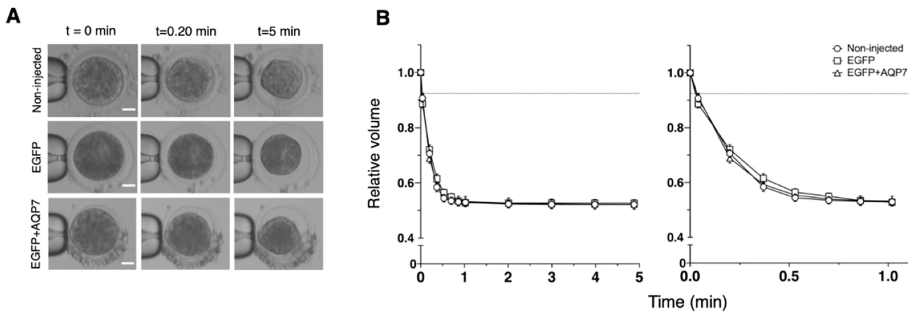 Animals 12 00530 g004 Animals 12 00530 g004