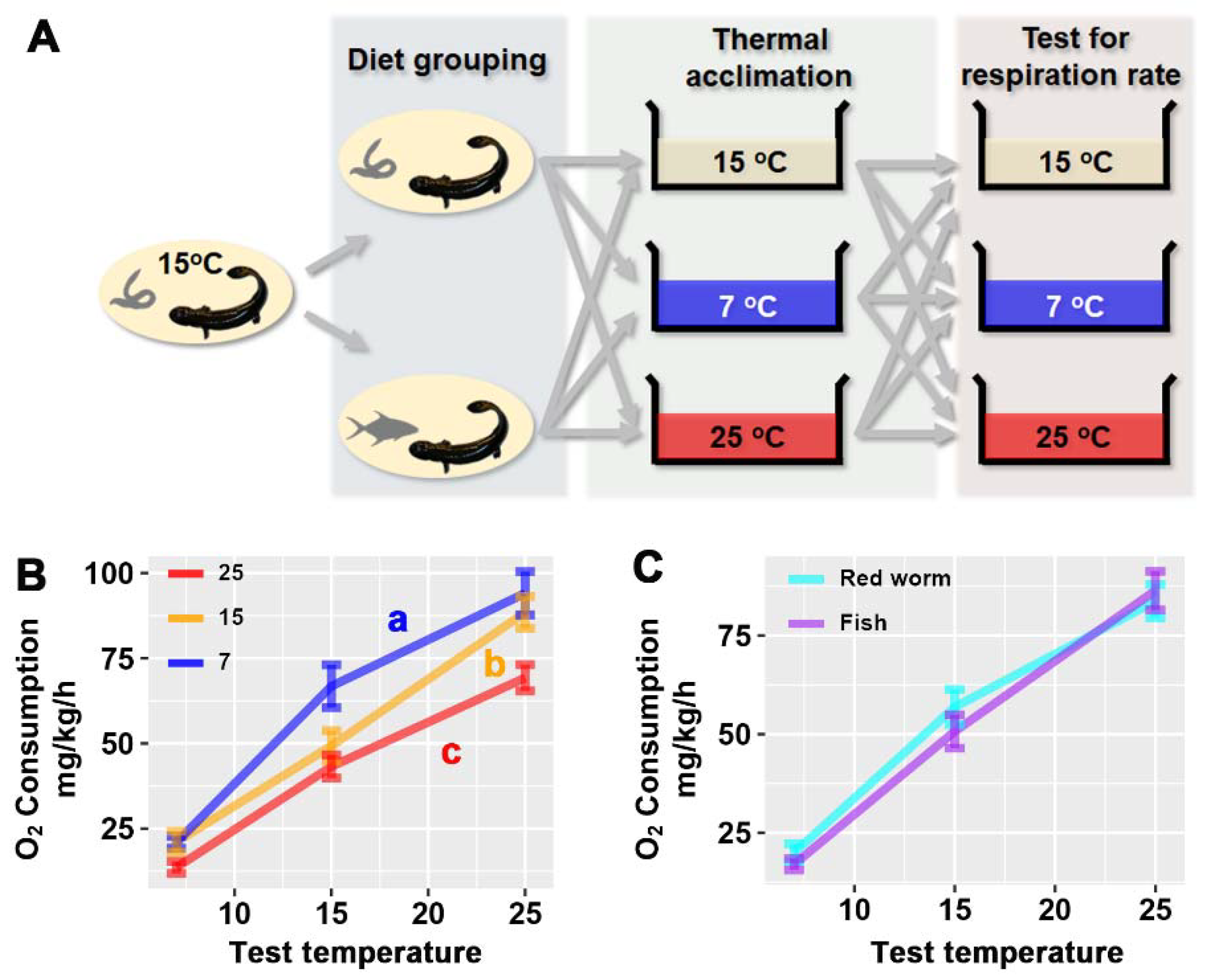 Animals 12 00531 g001 550
