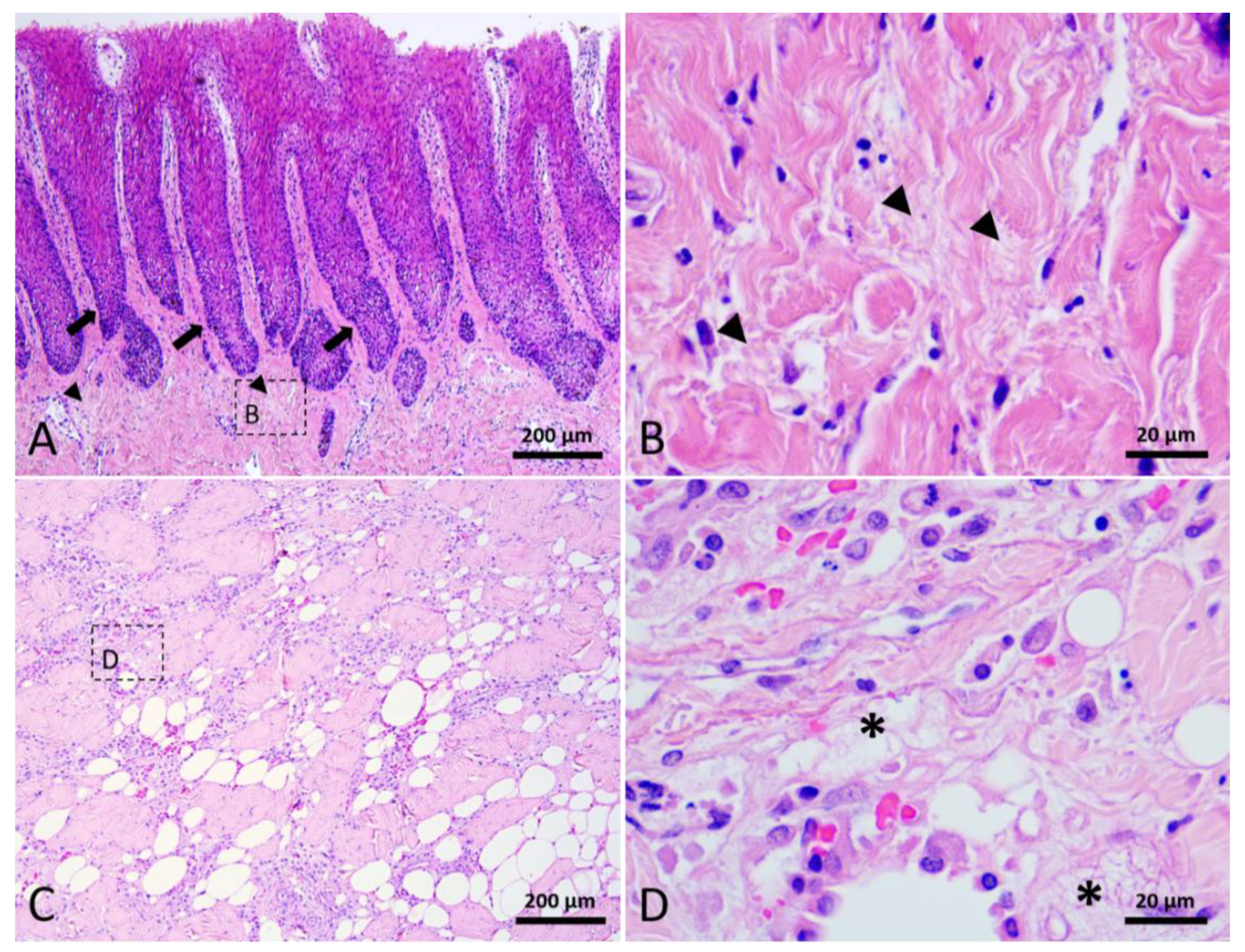 Animals 12 00537 g005 Animals 12 00537 g005