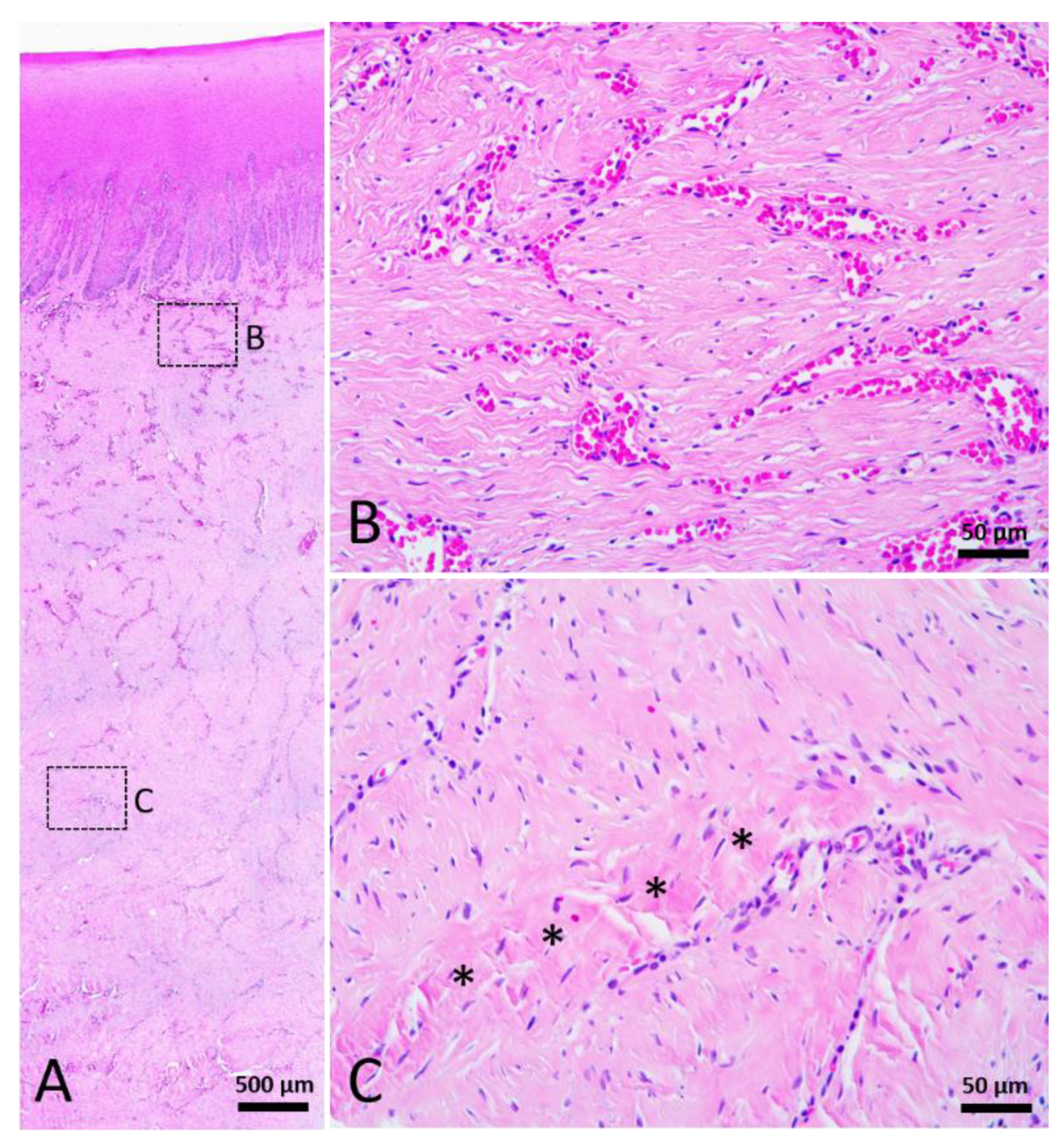 Animals 12 00537 g007 Animals 12 00537 g007