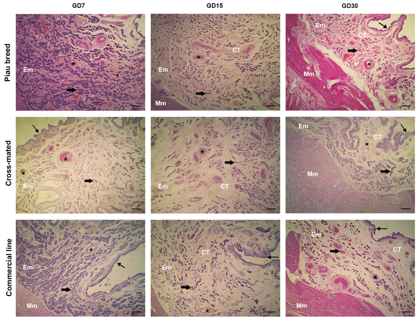 Animals 12 00553 g001 Animals 12 00553 g001