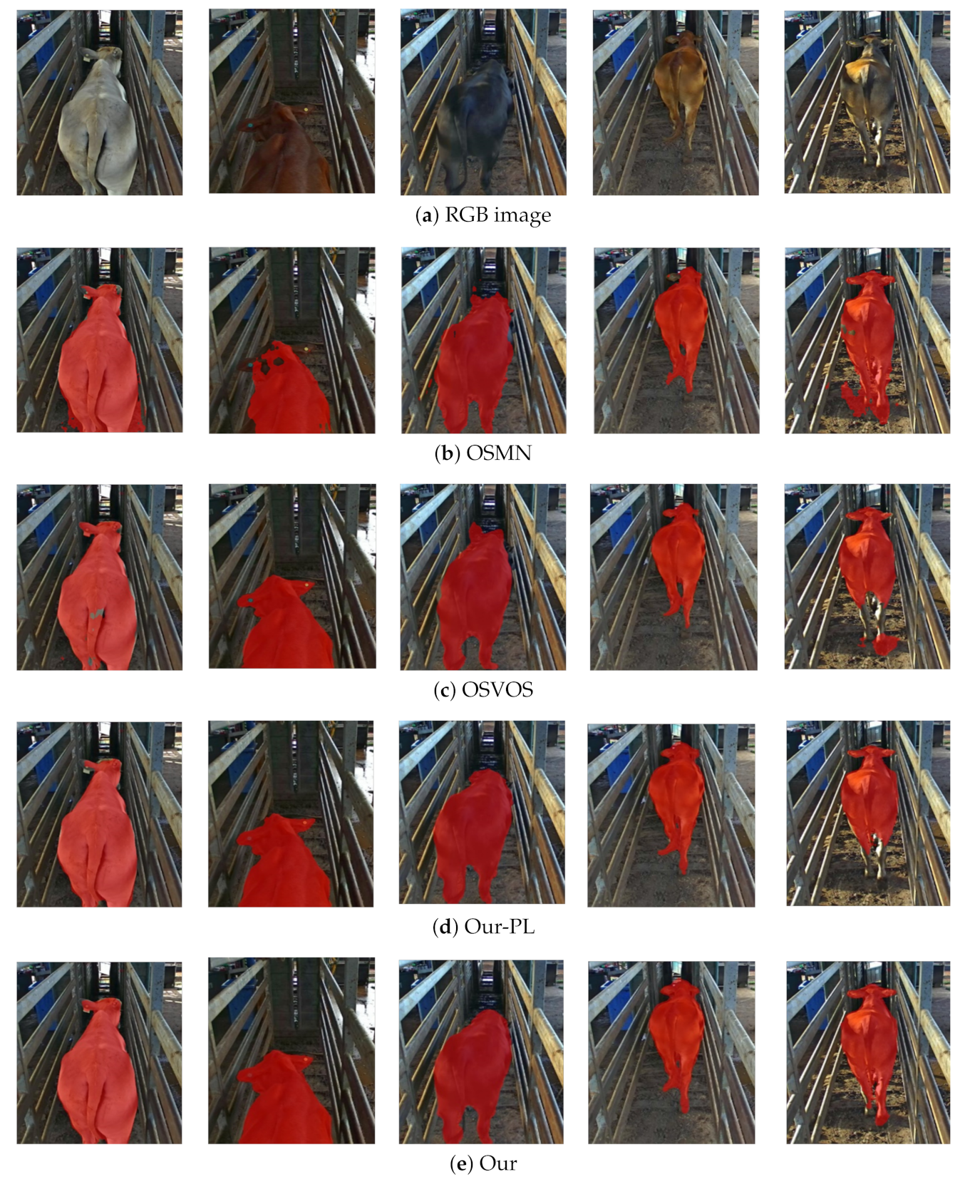 Animals 12 00558 g004