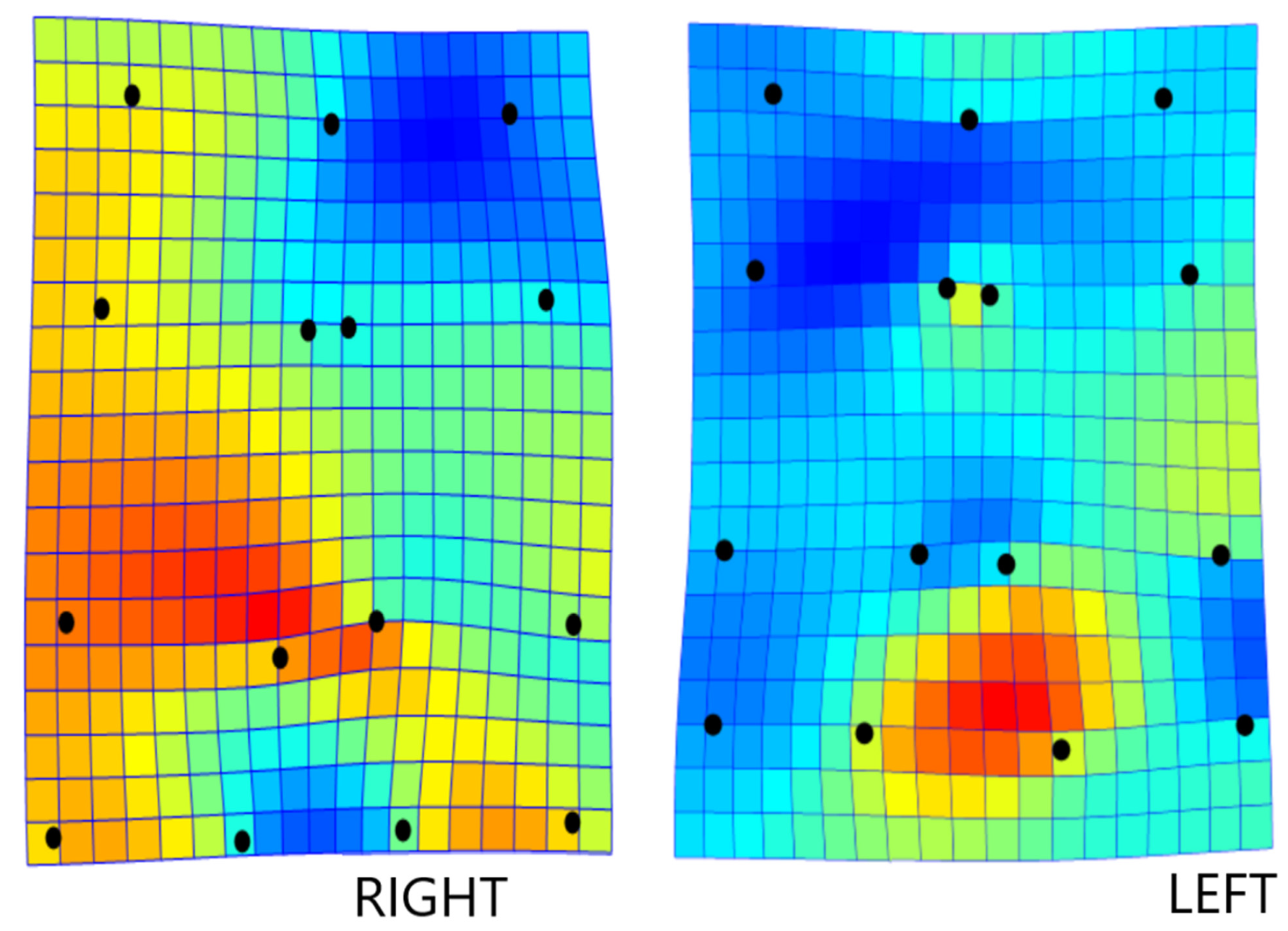 Animals 12 00559 g002