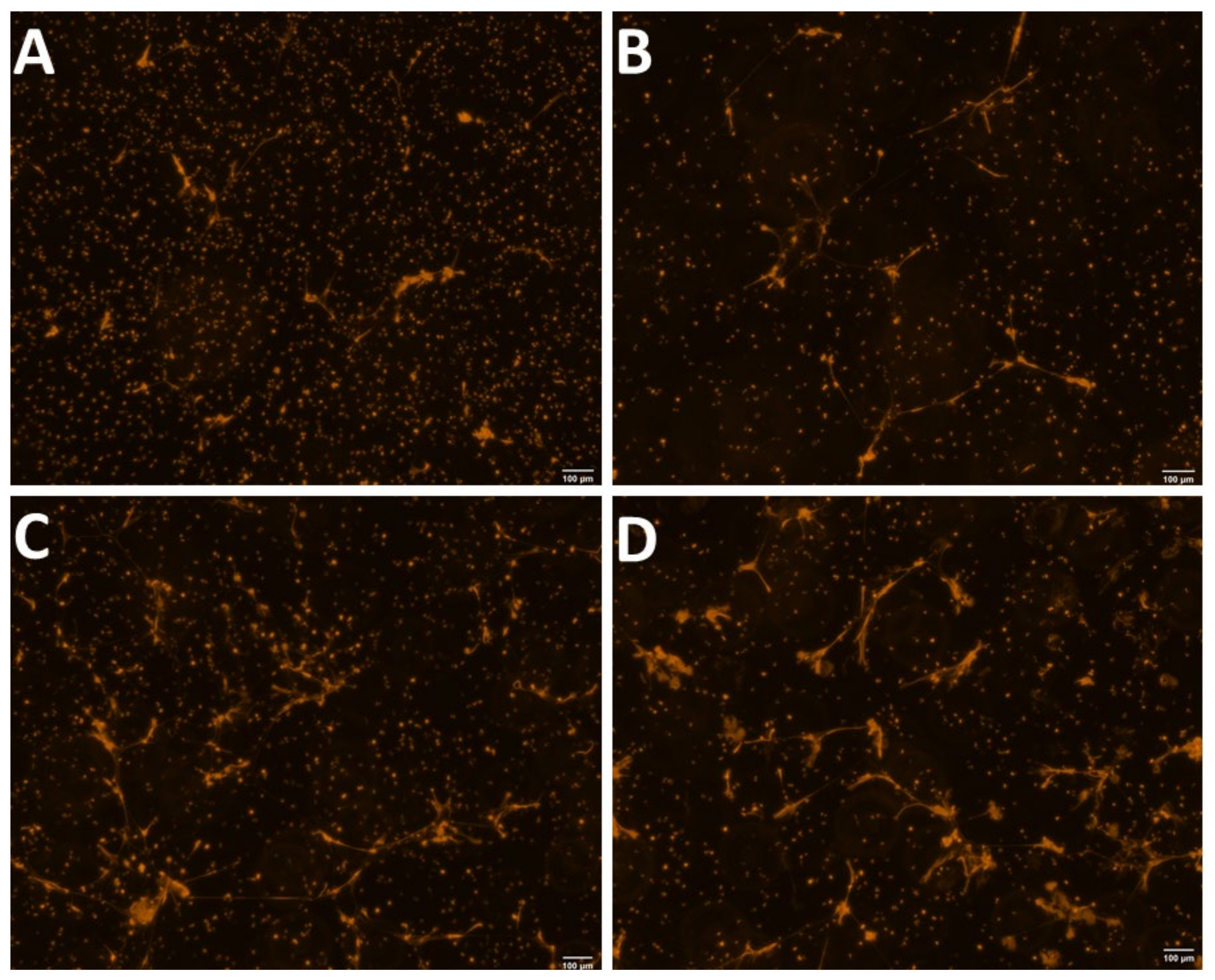 Animals 12 00564 g001