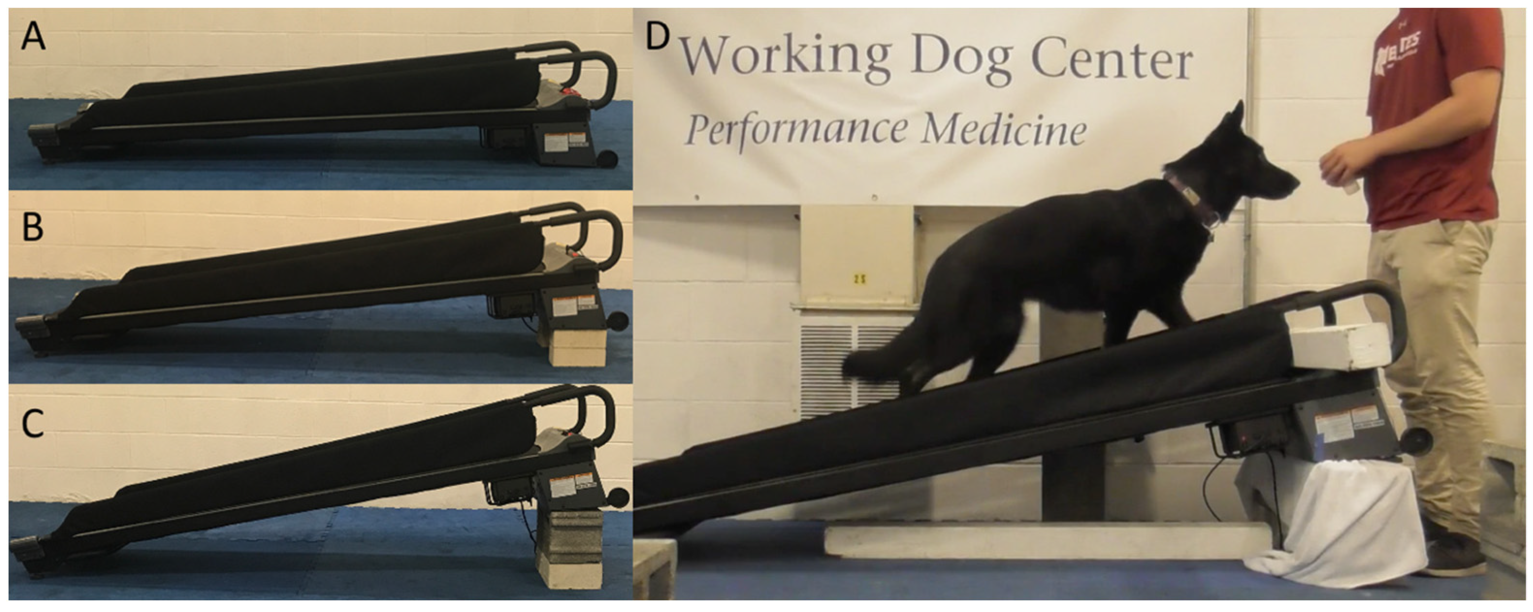 Petzen treadmill sales