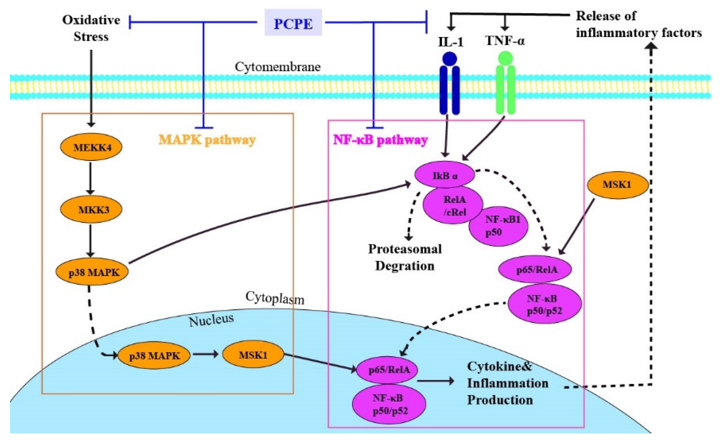 Animals 12 00569 g007 Animals 12 00569 g007